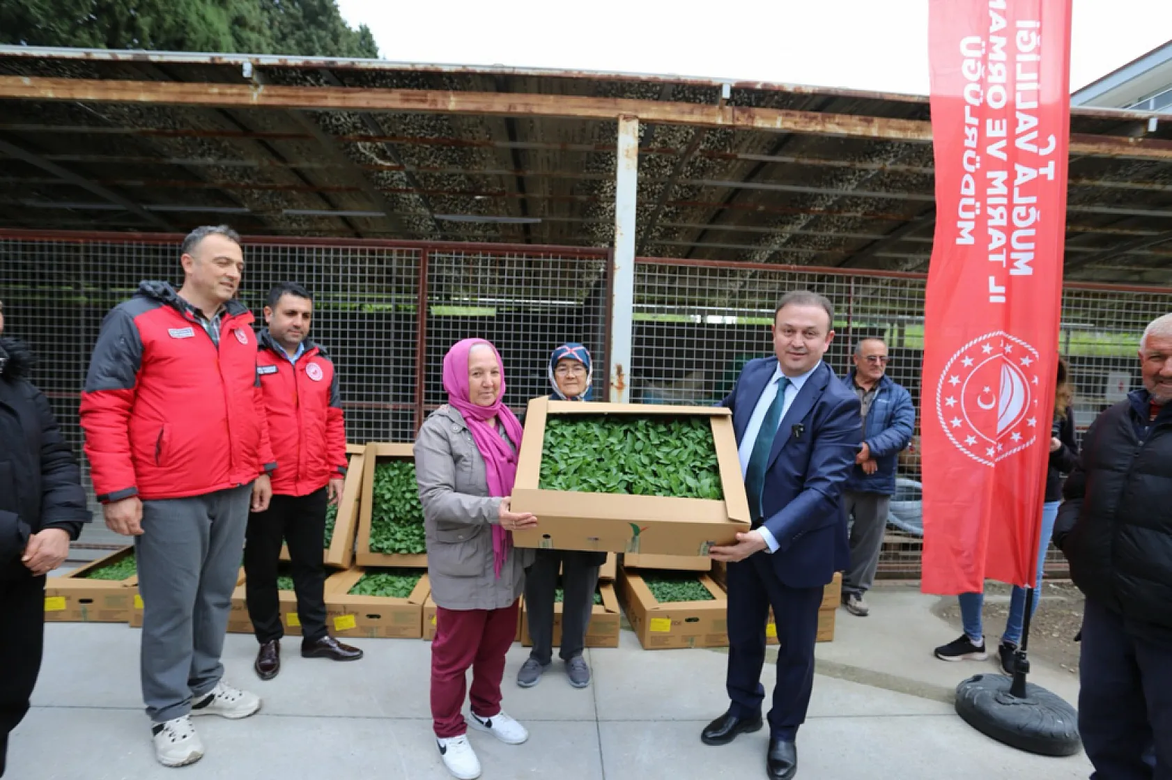 Muğla'da 'Ata Tohumları' seferberliği: 500 bin fide üreticilerle buluşuyor