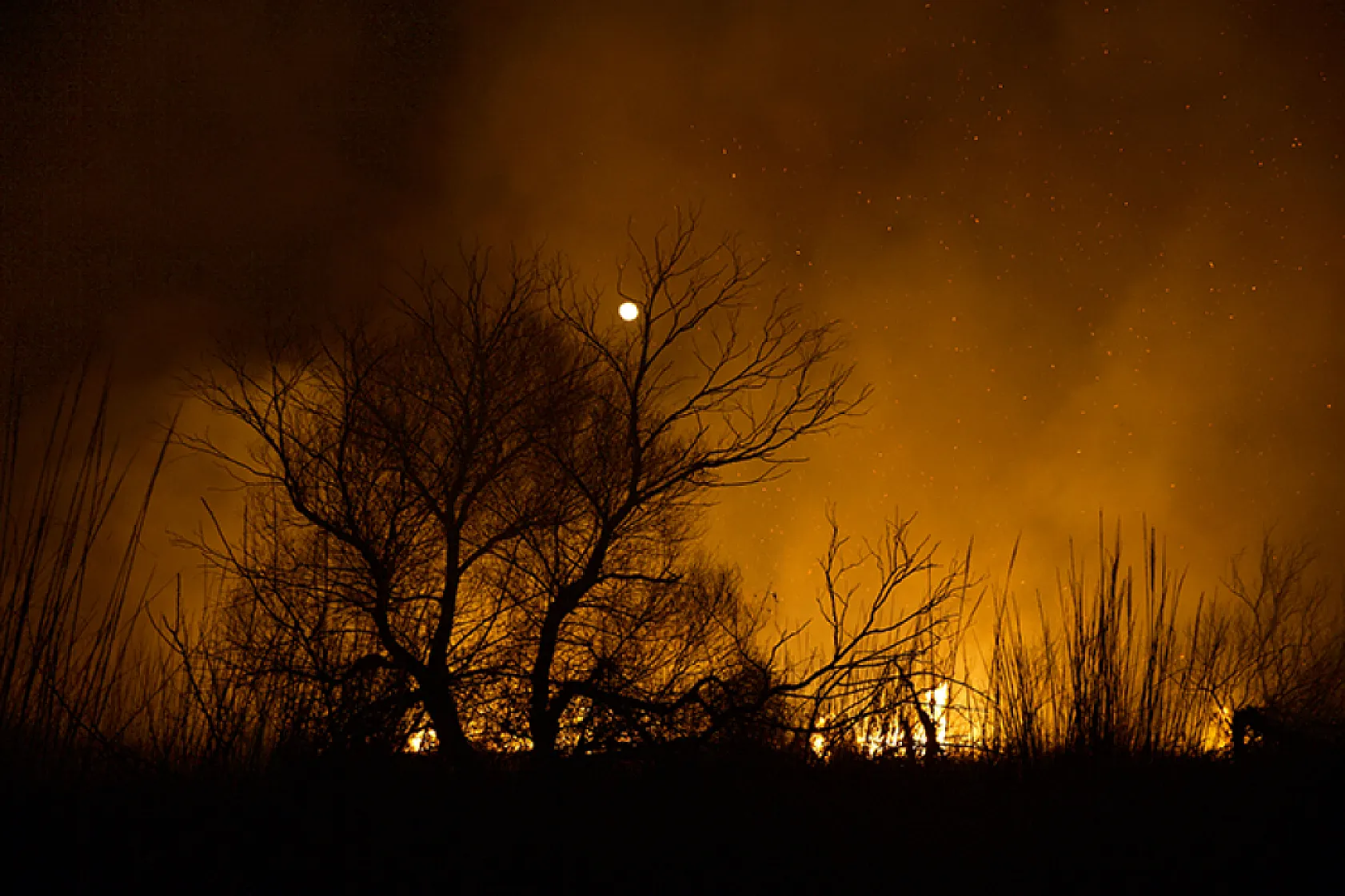 Kuş Cenneti'nde çıkan yangına müdahale ediliyor