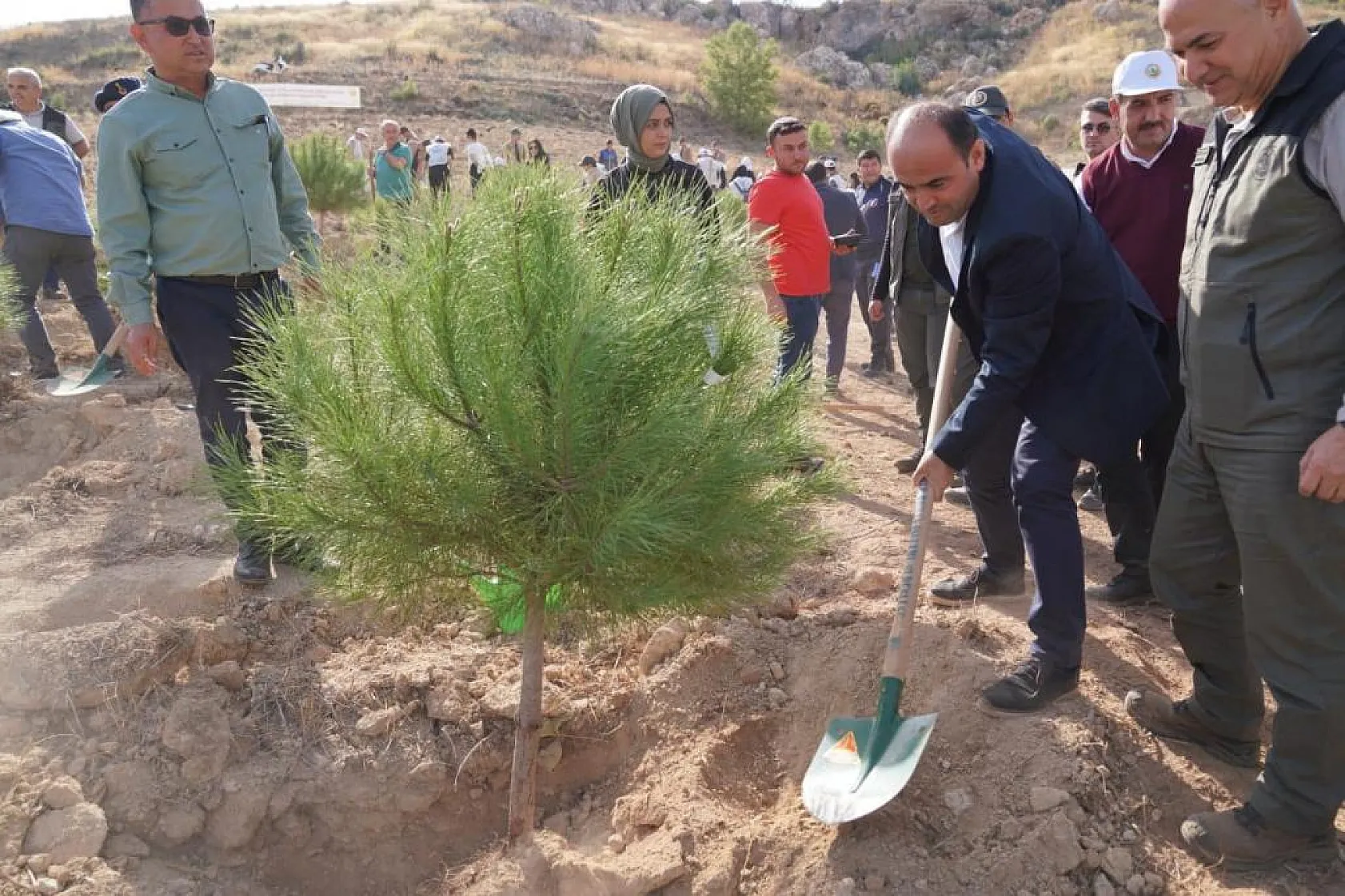 Yanan Ormanlar Yeniden Yeşeriyor