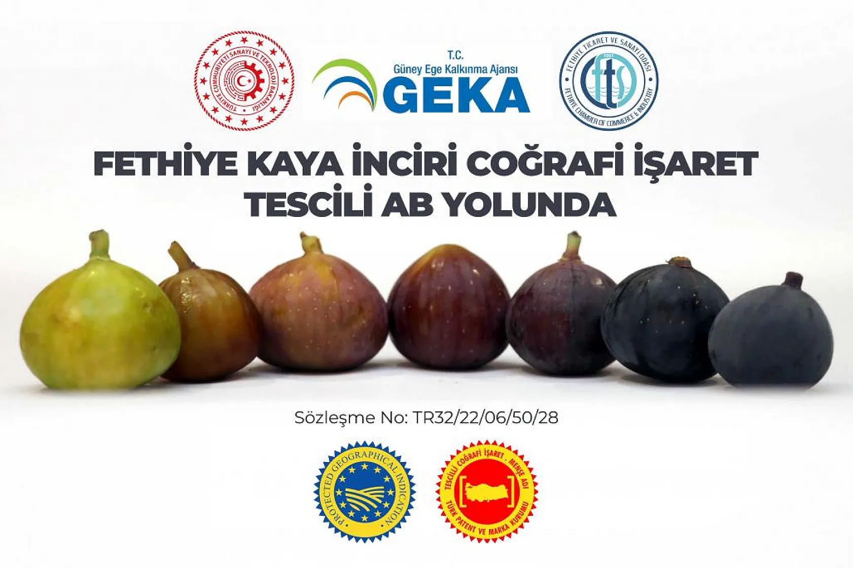 Fethiye Kaya İnciri'ne AB Tescili İçin İlk Adım Tamam