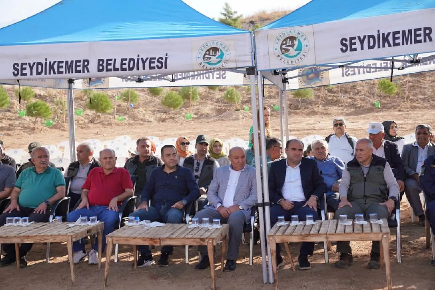 Yanan Ormanlar Yeniden Yeşeriyor