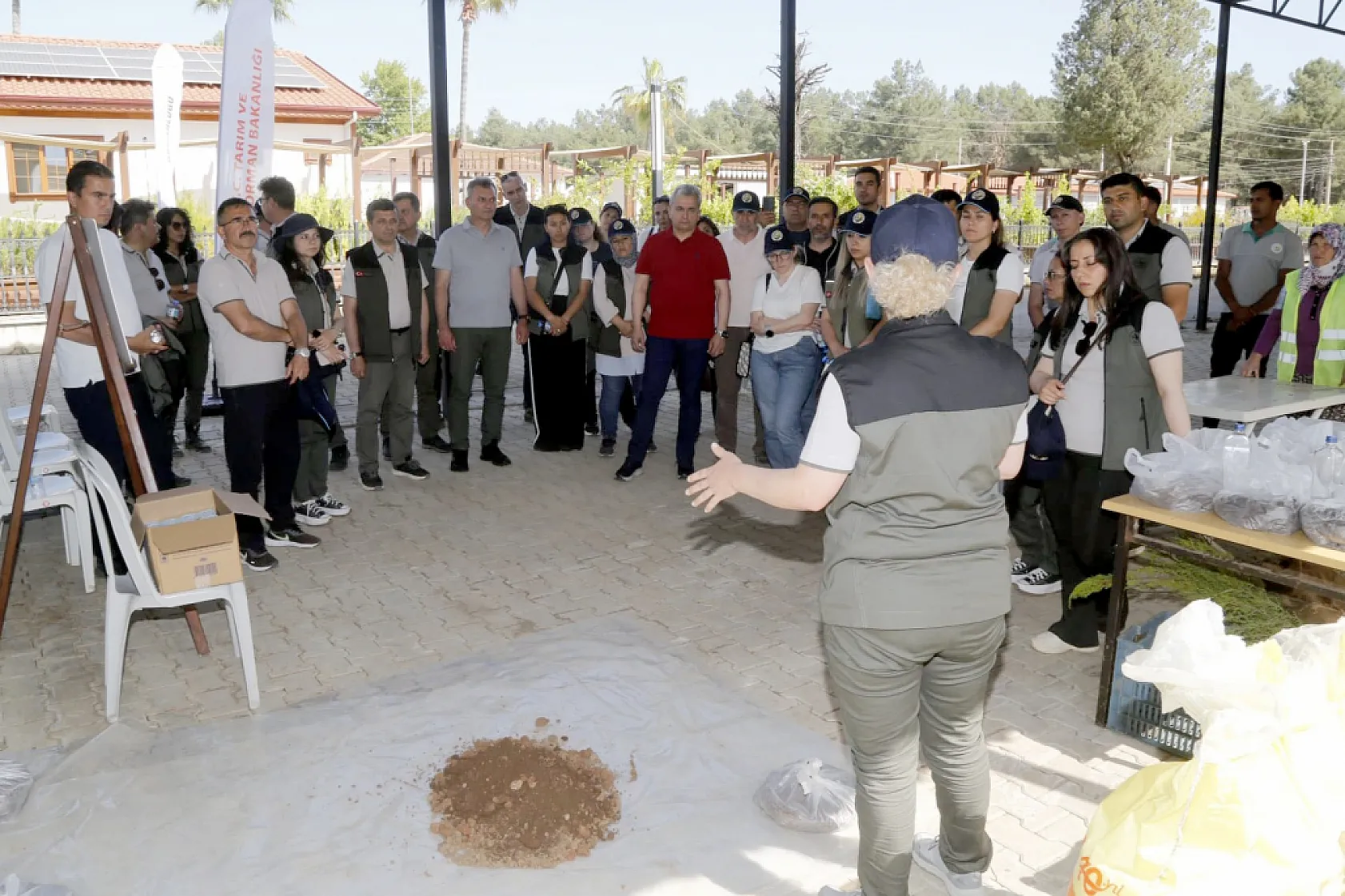 Fethiye'de ağaç ıslahı ve mekanizasyon çalışmaları ele alındı