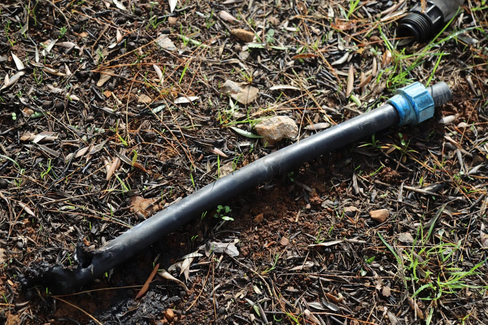 Büyükşehir Yangının Yaralarını Sarıyor: Tarım ve Arıcılığa Destek