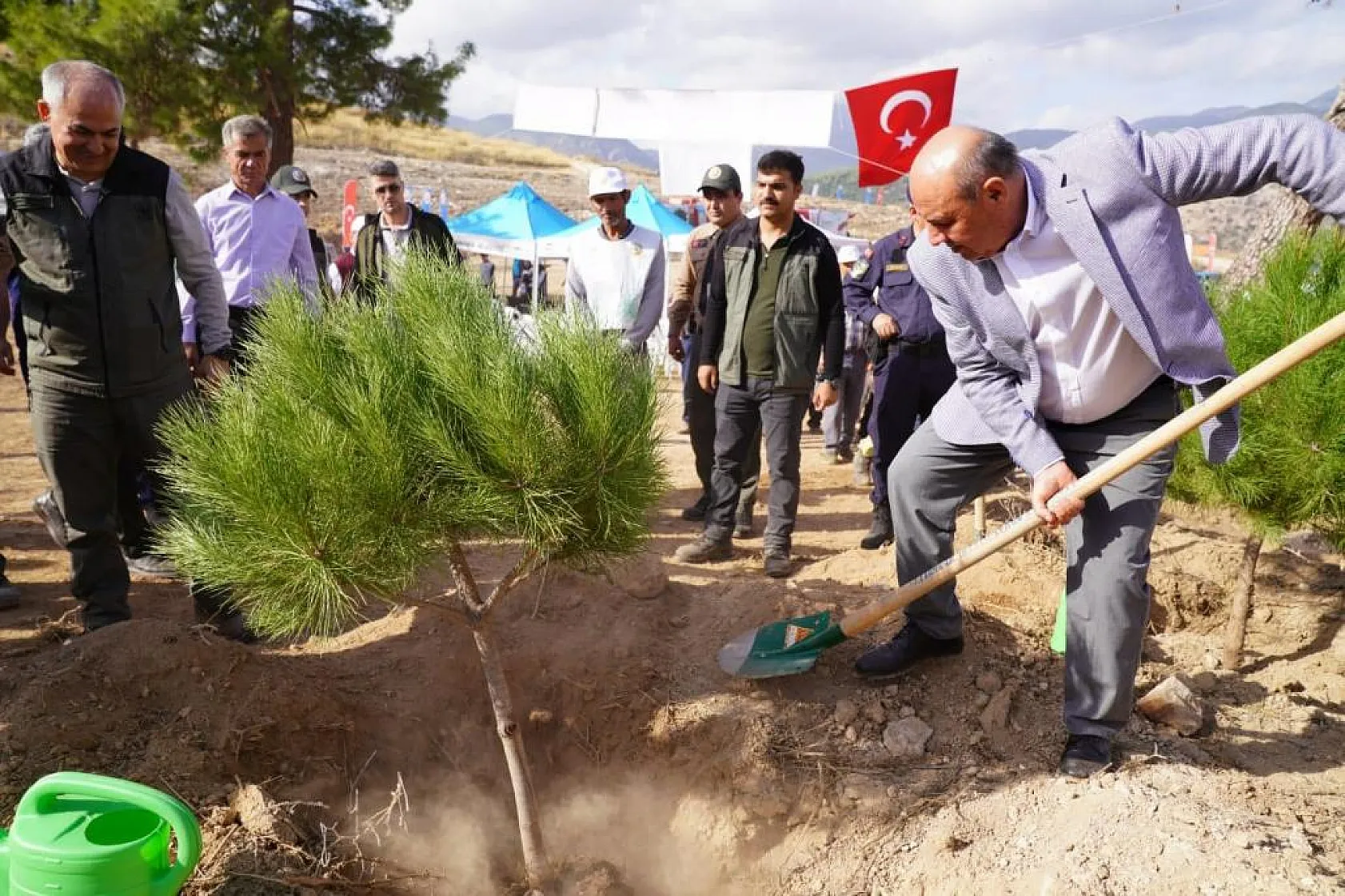 Yanan Ormanlar Yeniden Yeşeriyor