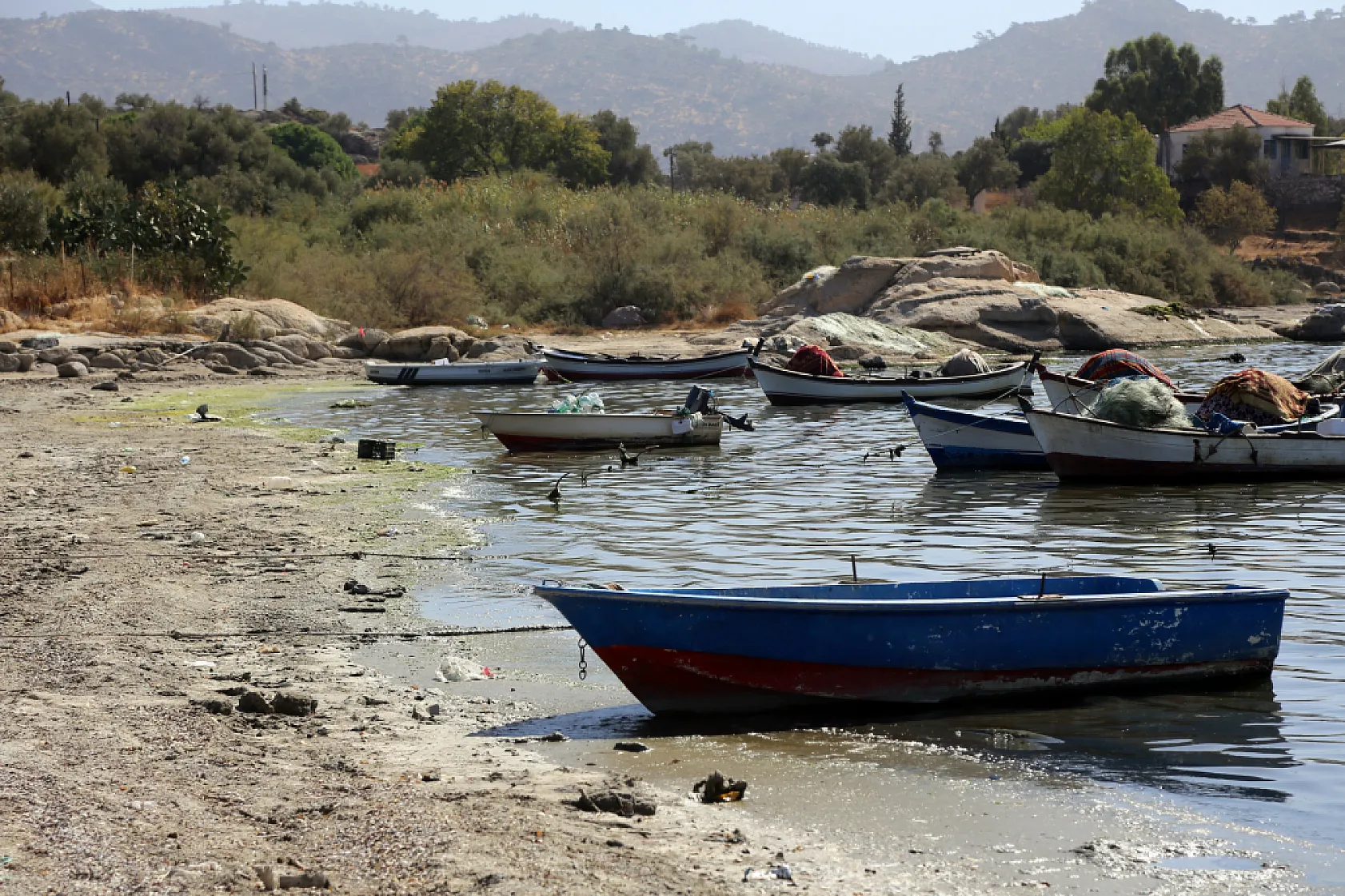 Ege Bölgesi'nin en büyük doğal gölü Bafa, kuraklığın etkisiyle 30 metre çekildi