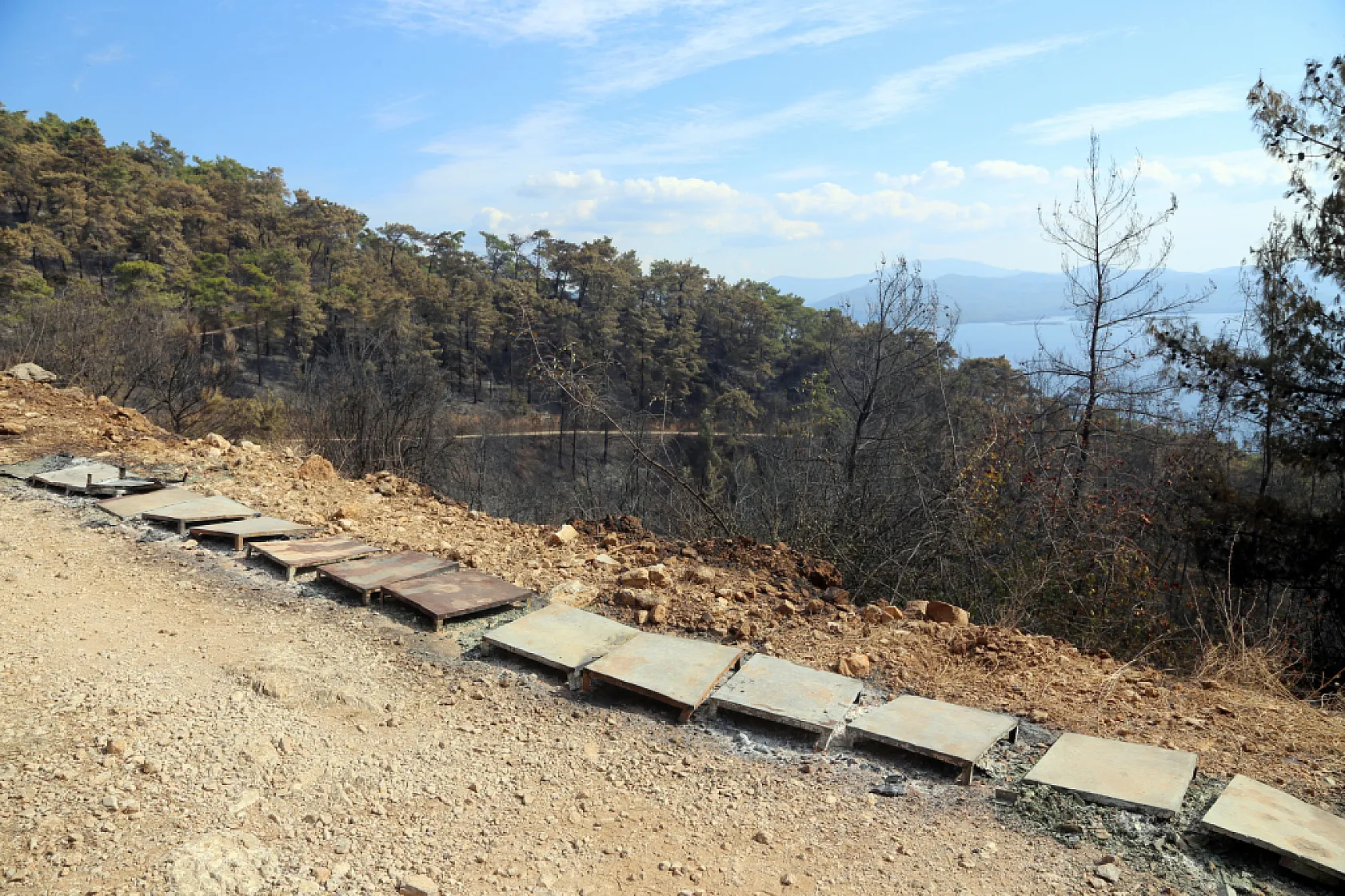 Menteşe'de çıkan orman yangınında 120 arı kovanı zarar gördü