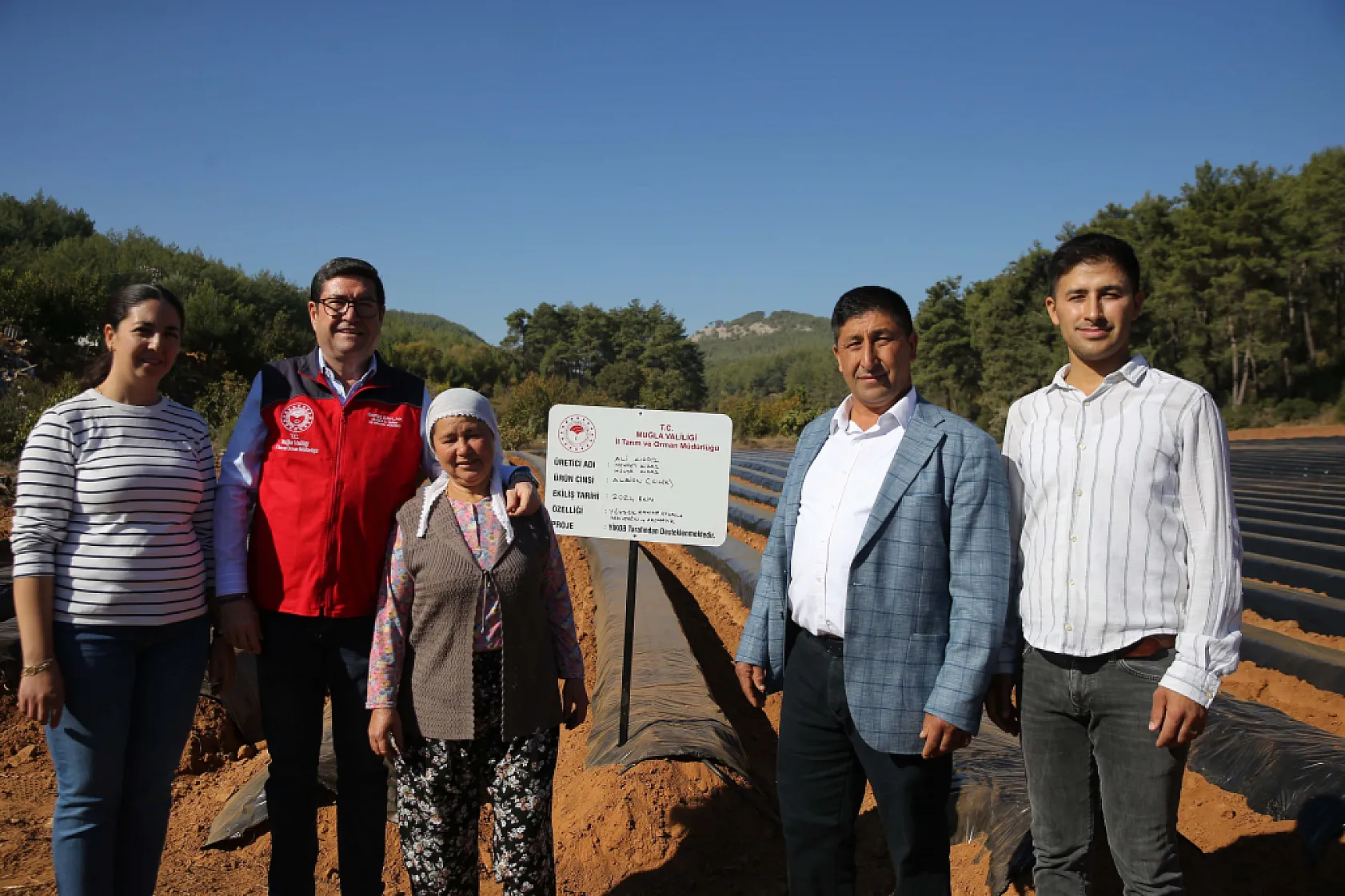 Muğla'nın küçük parçalı arazileri 12 ay çilek üretimiyle ekonomiye kazandırıldı