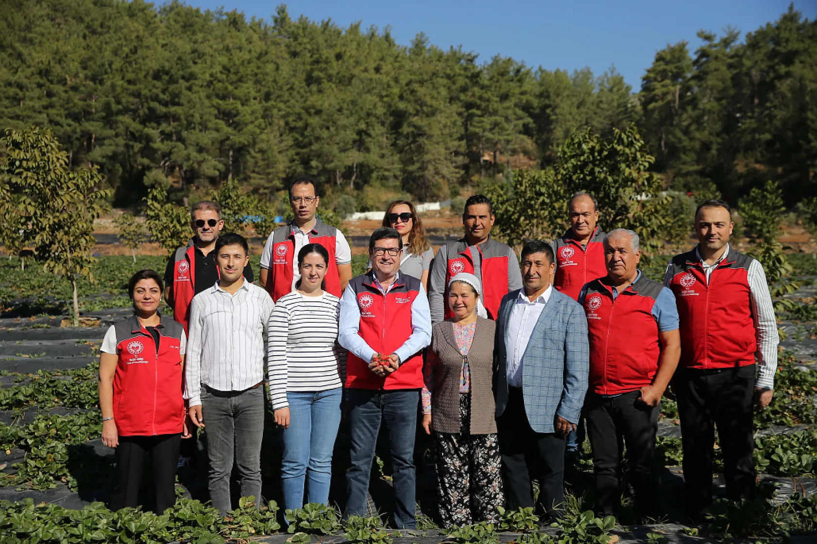 Muğla'nın küçük parçalı arazileri 12 ay çilek üretimiyle ekonomiye kazandırıldı