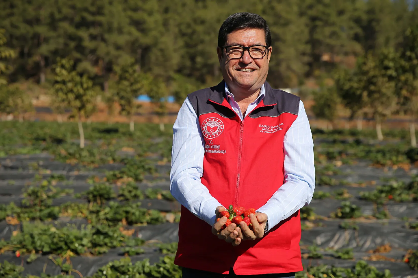 Muğla'nın küçük parçalı arazileri 12 ay çilek üretimiyle ekonomiye kazandırıldı