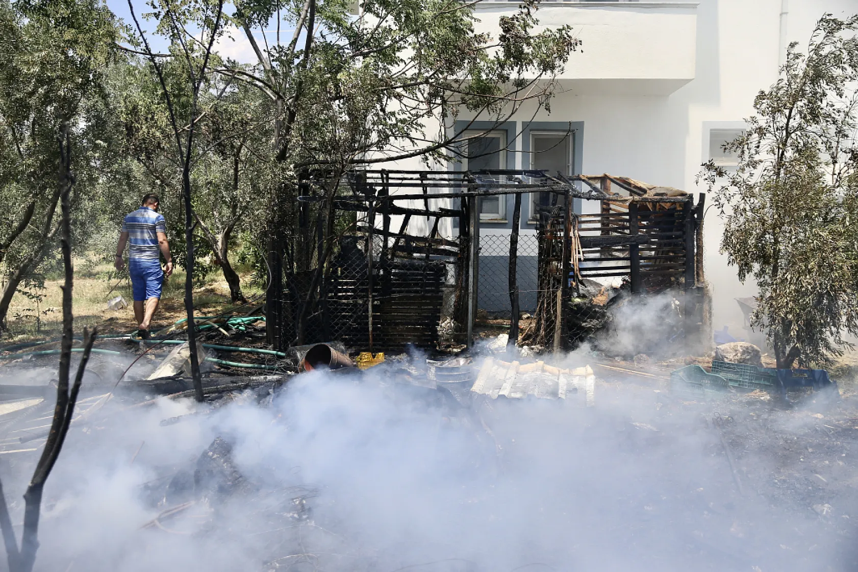 Muğla'da odunlukta başlayıp zeytinliğe sıçrayan yangın söndürüldü