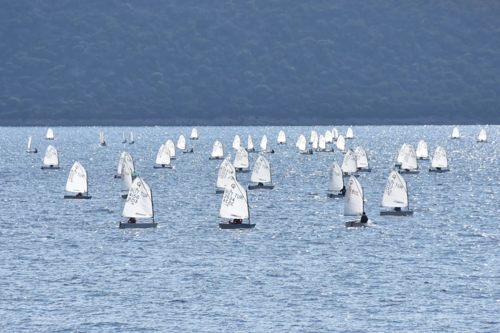 Bodrum Ticaret Odası 13. Bodrum Uluslararası Optimist Yarışları başladı