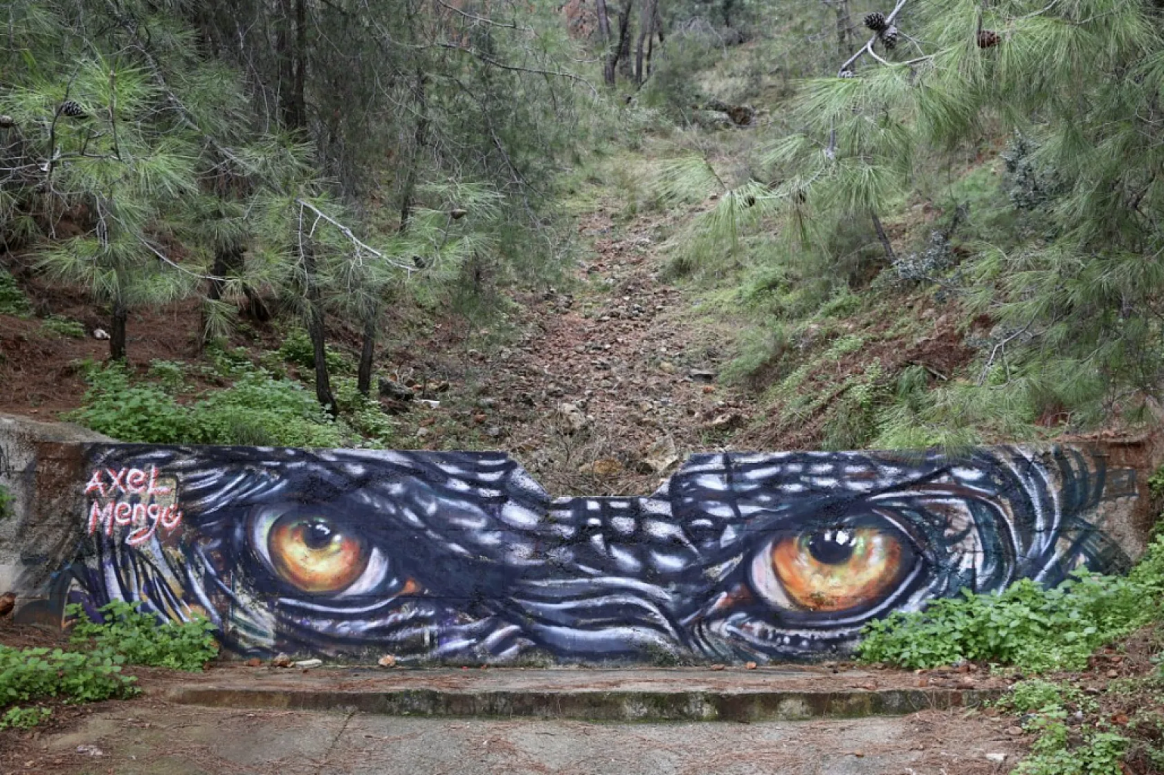 'Grafiti' sanatçısı Axel Mengü, Fethiye'ye renk katıyor