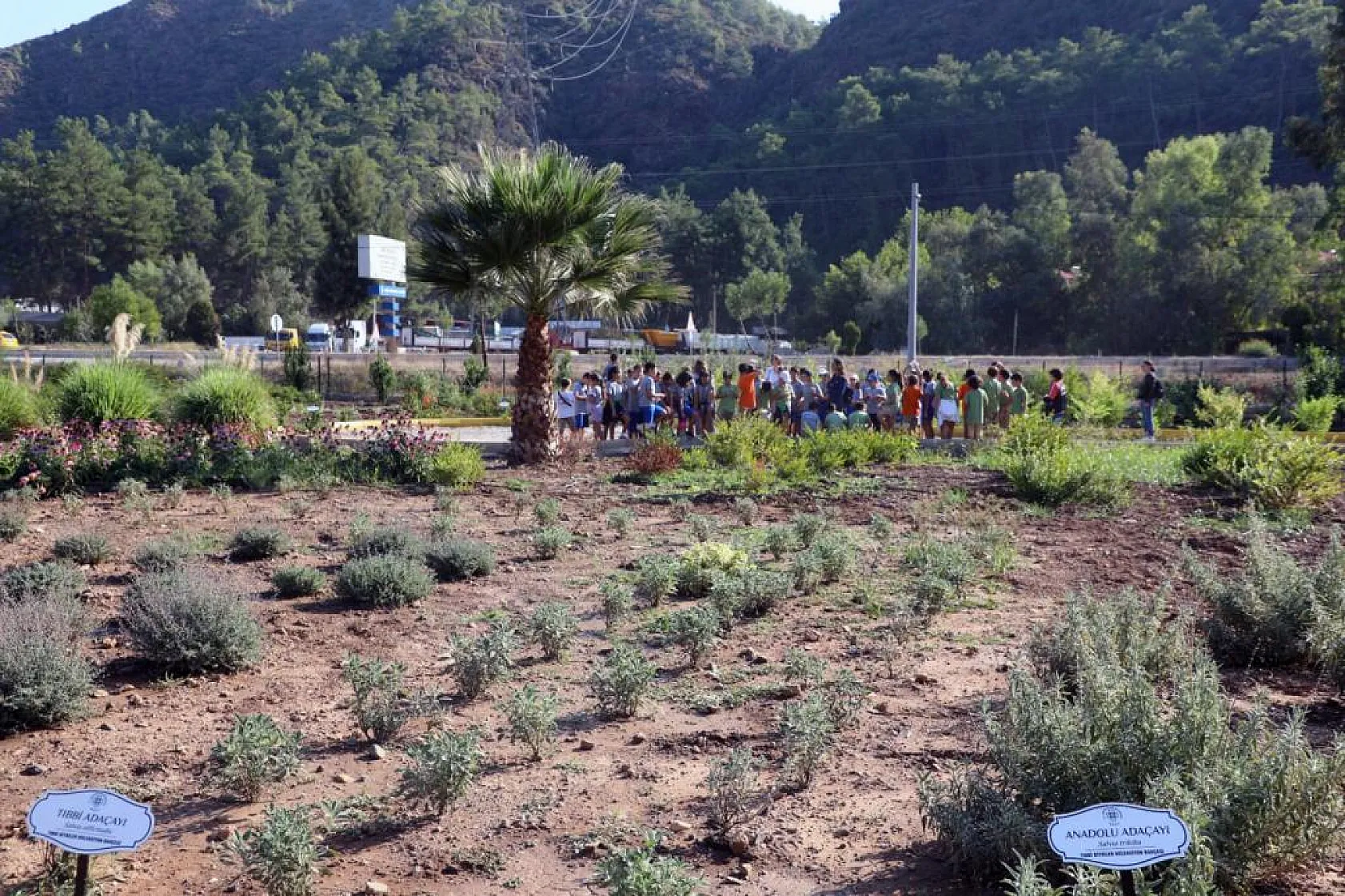 Tıbbi Bitkiler Koleksiyon Bahçesi minik ziyaretçileri ağırladı