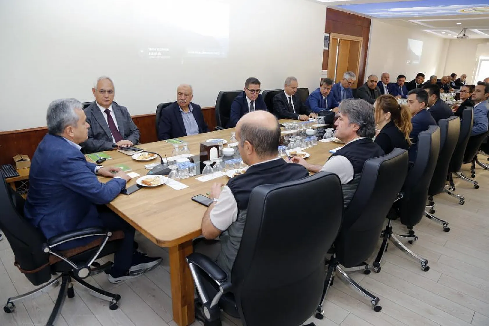 Milyon dolarlık ormancılık projesi