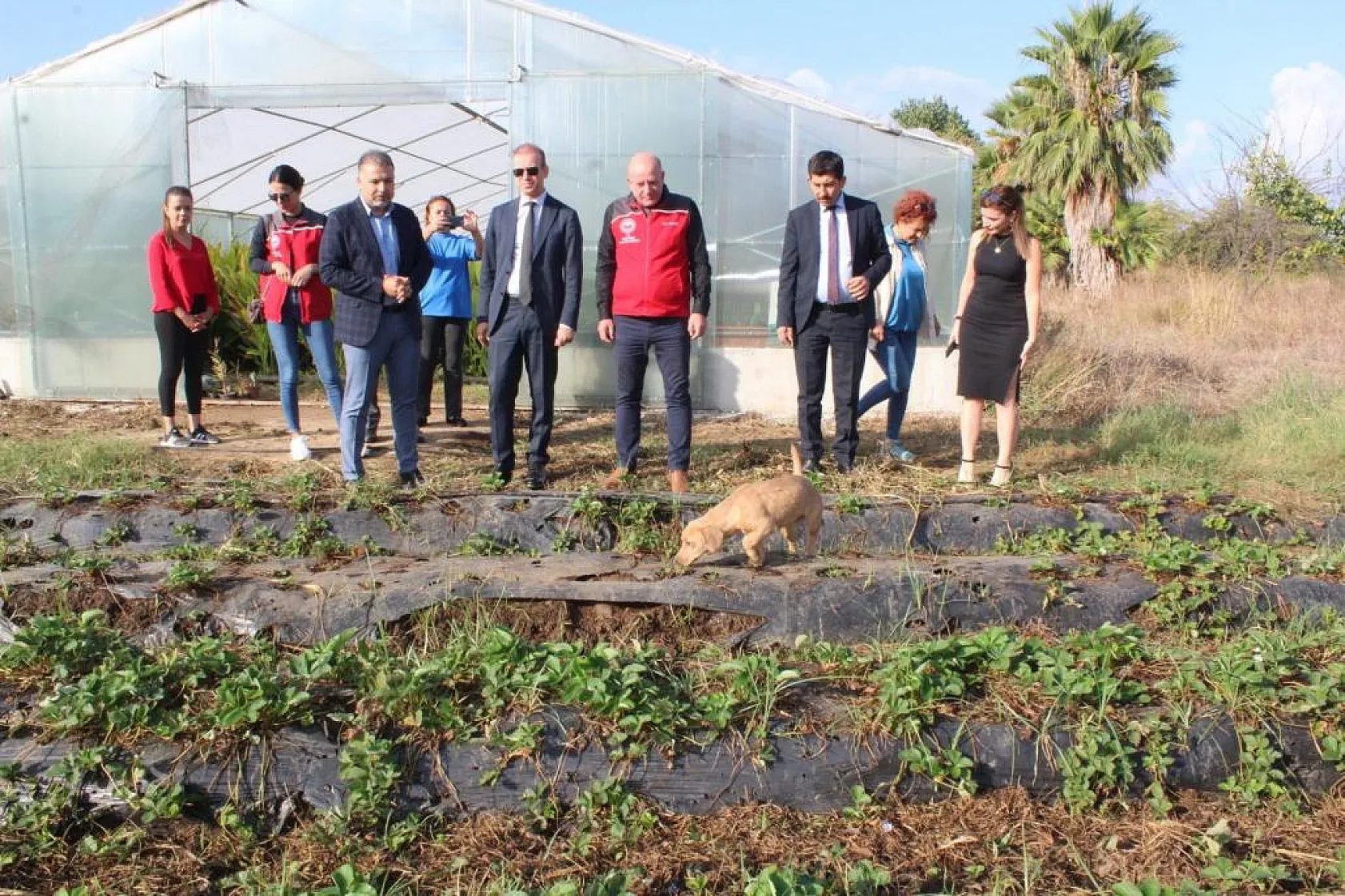Öğrenciler tarımsal üretime devam ediyor