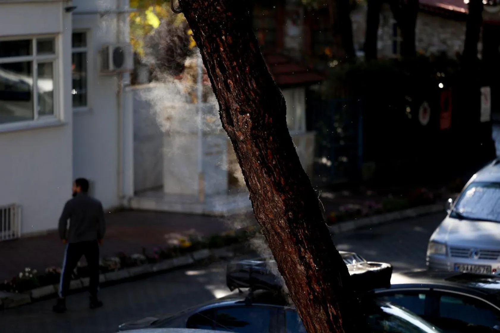 Yağmur yağdı, ağaçtan buhar çıktı