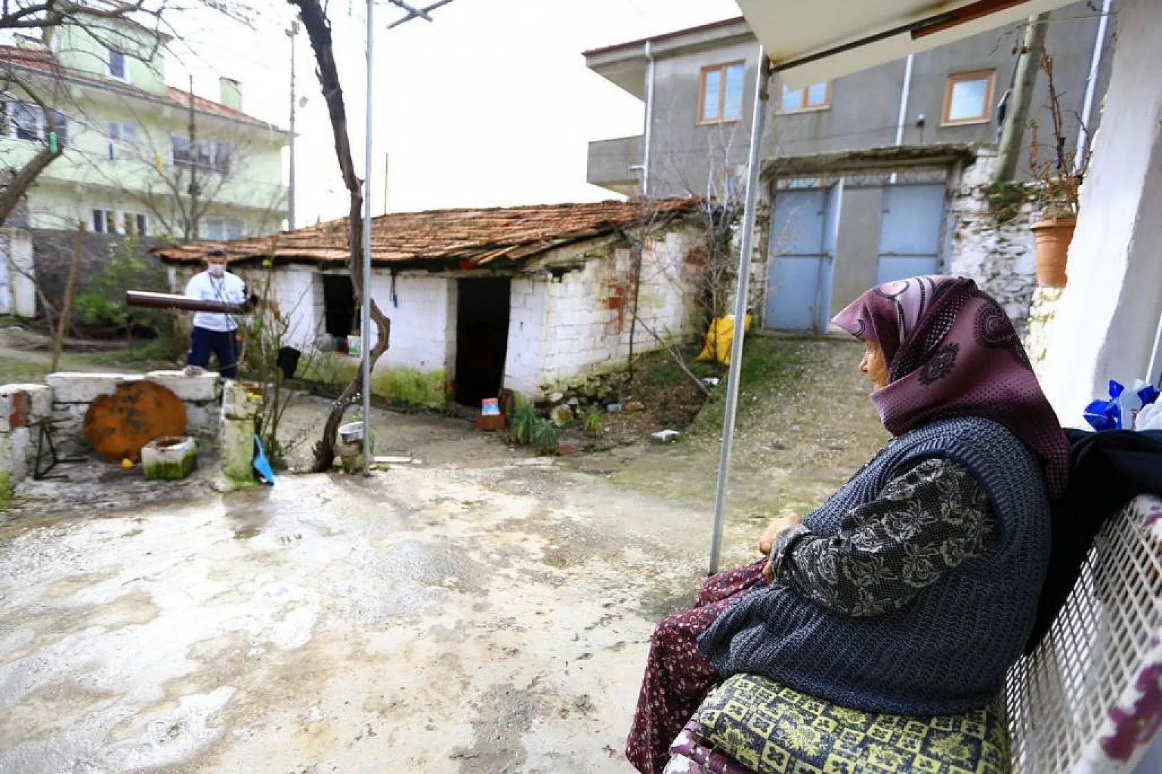 Kırsaldaki çınarlara yerinde hizmet