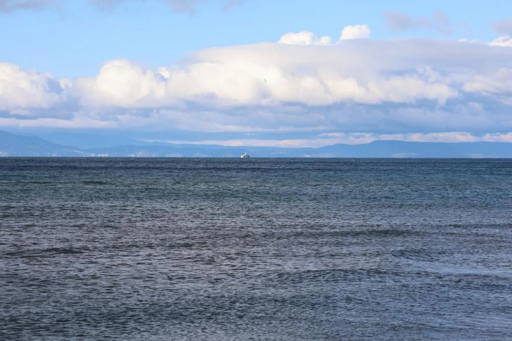 Kaybolan balıkçının arkadaşlarına son sözü 'ben yüzeceğim' olmuş