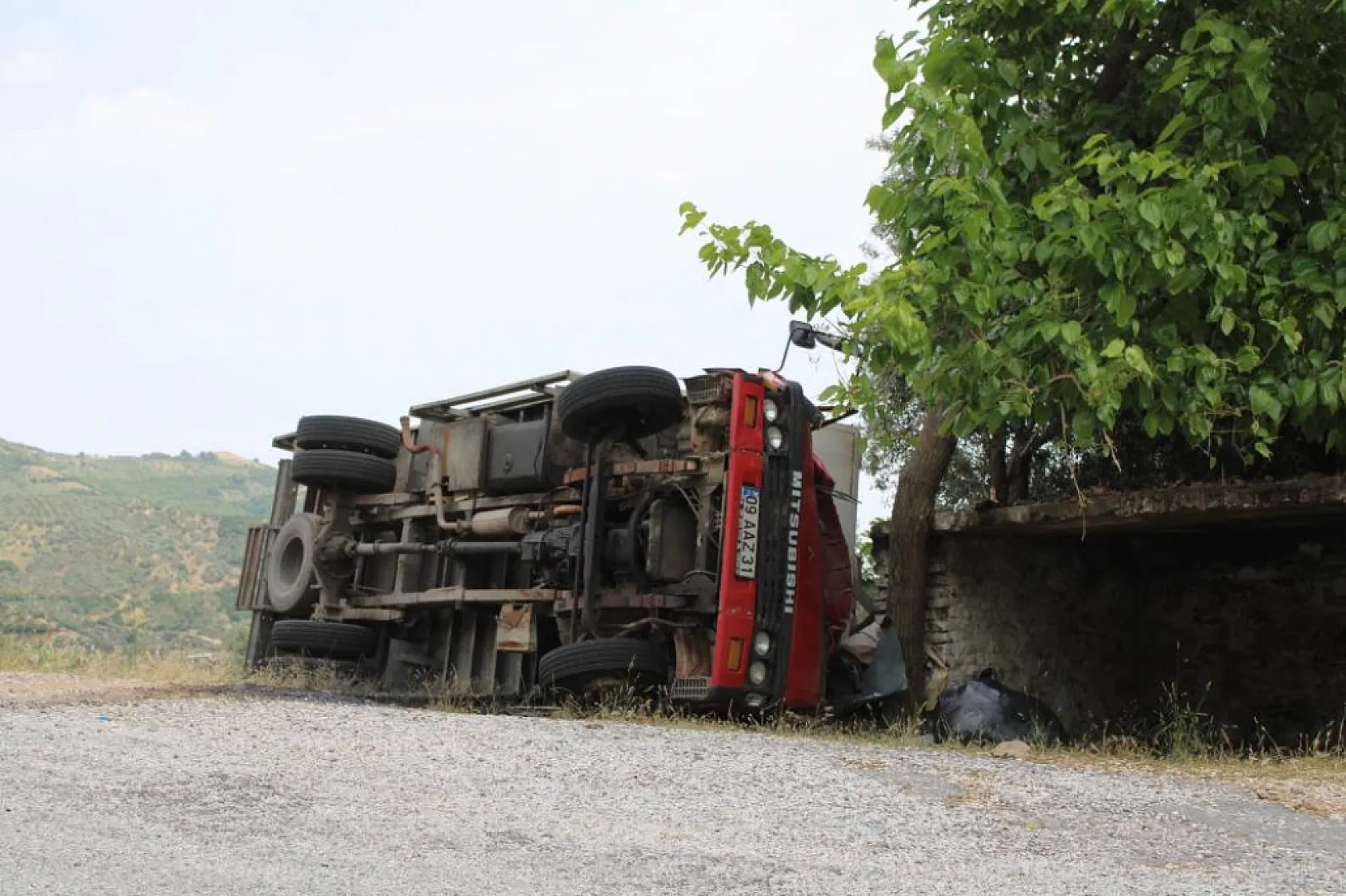 Seyyar pideciyi ölümden zeytin ağacı kurtardı