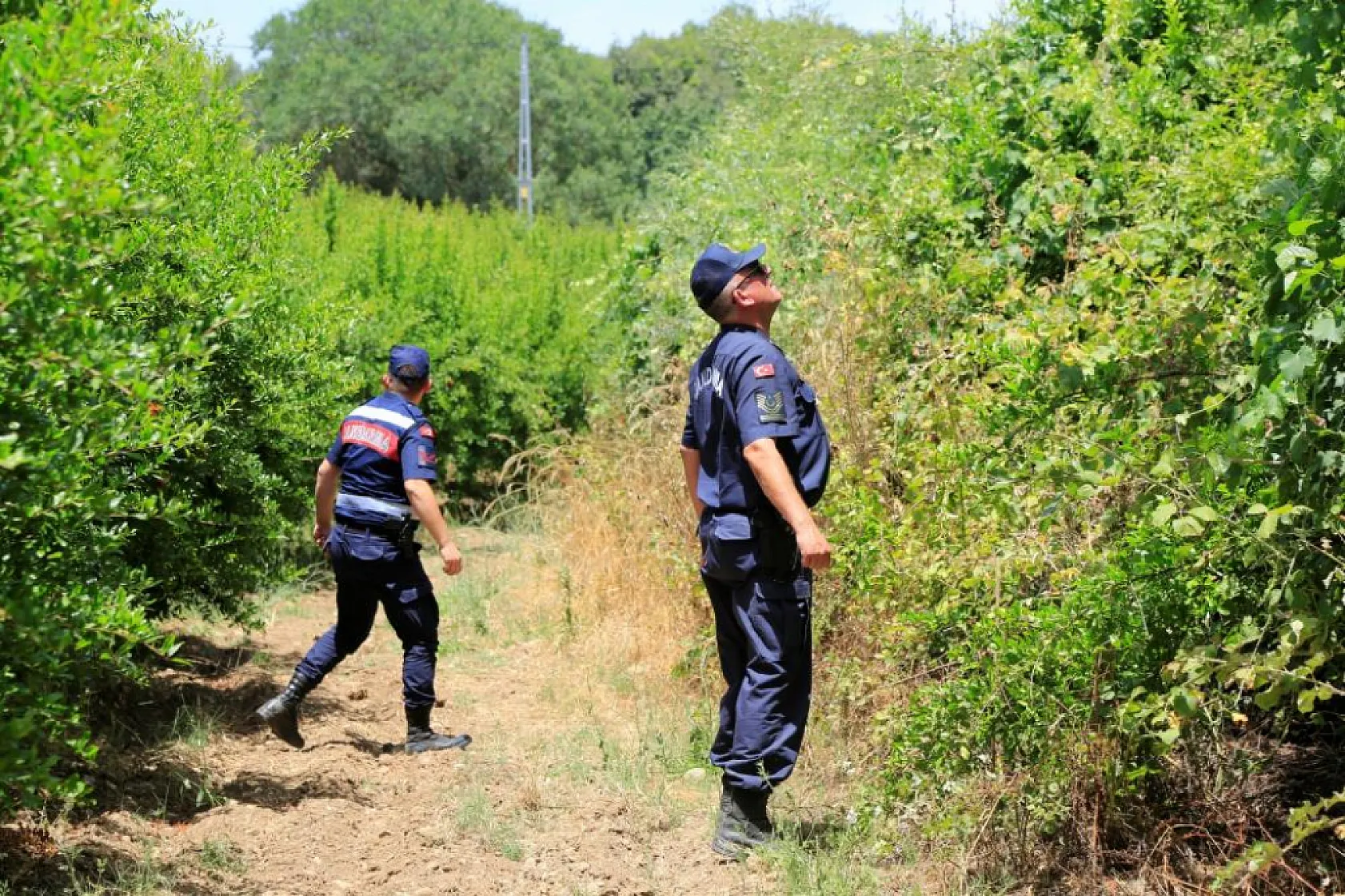 Kayıp doktor için Jandarma ve AFAD alarma geçti