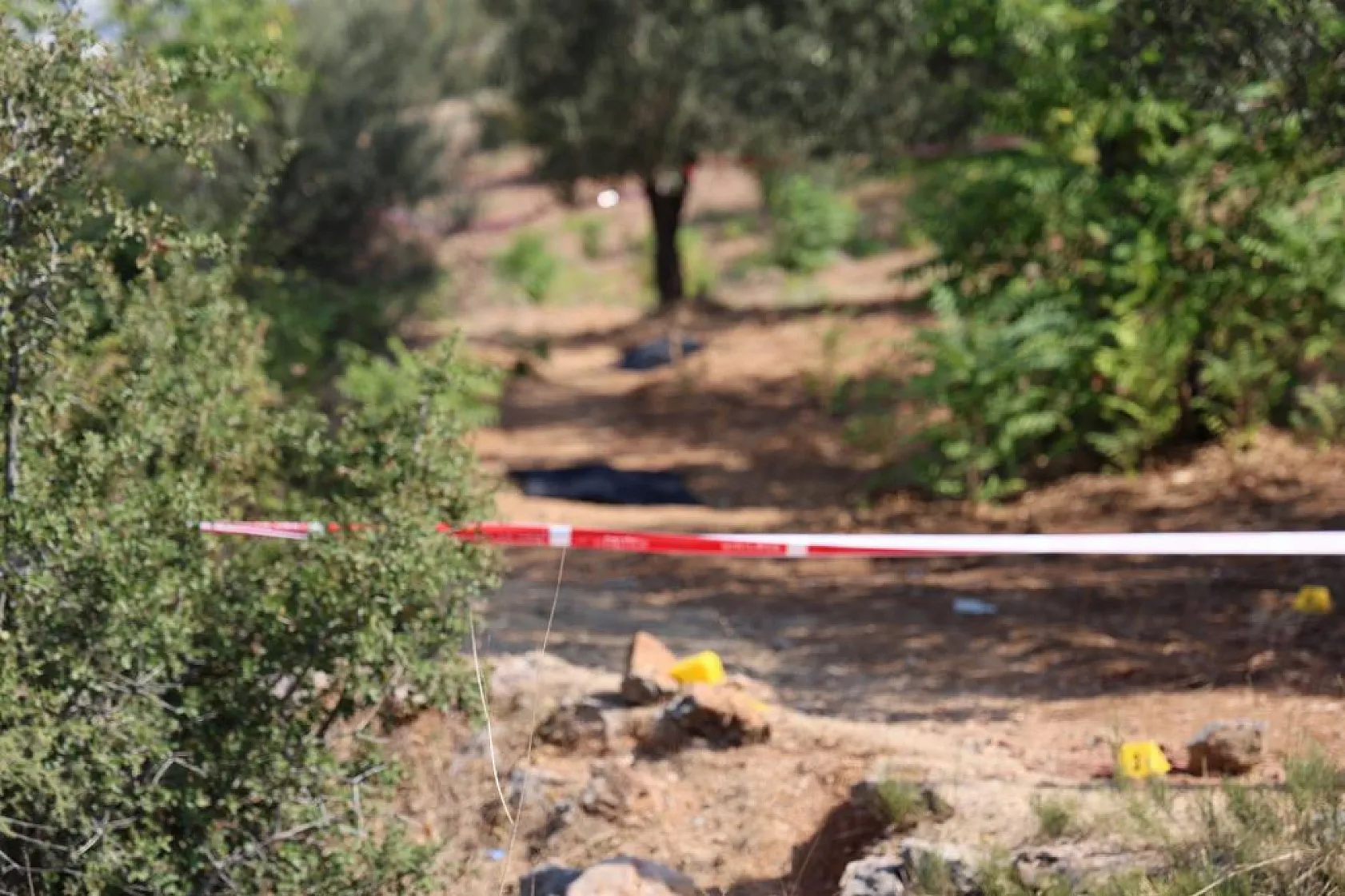 Baba dehşeti: 3 evladını öldürdü, kendisi ve 1 çocuğu da yaralı