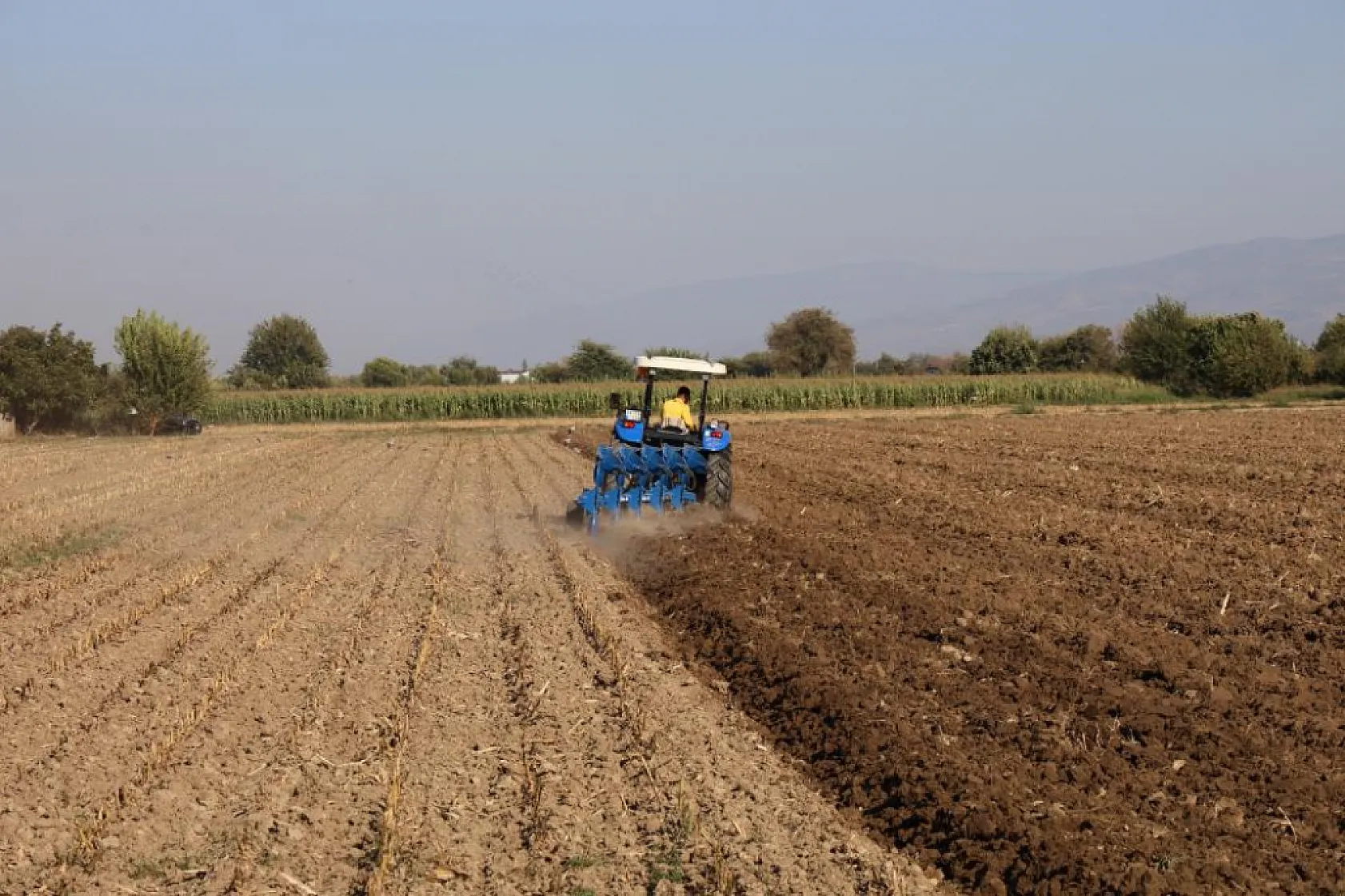 Tarlada çalışacak işçi bulunamayınca kalkıp Almanya'dan geldi