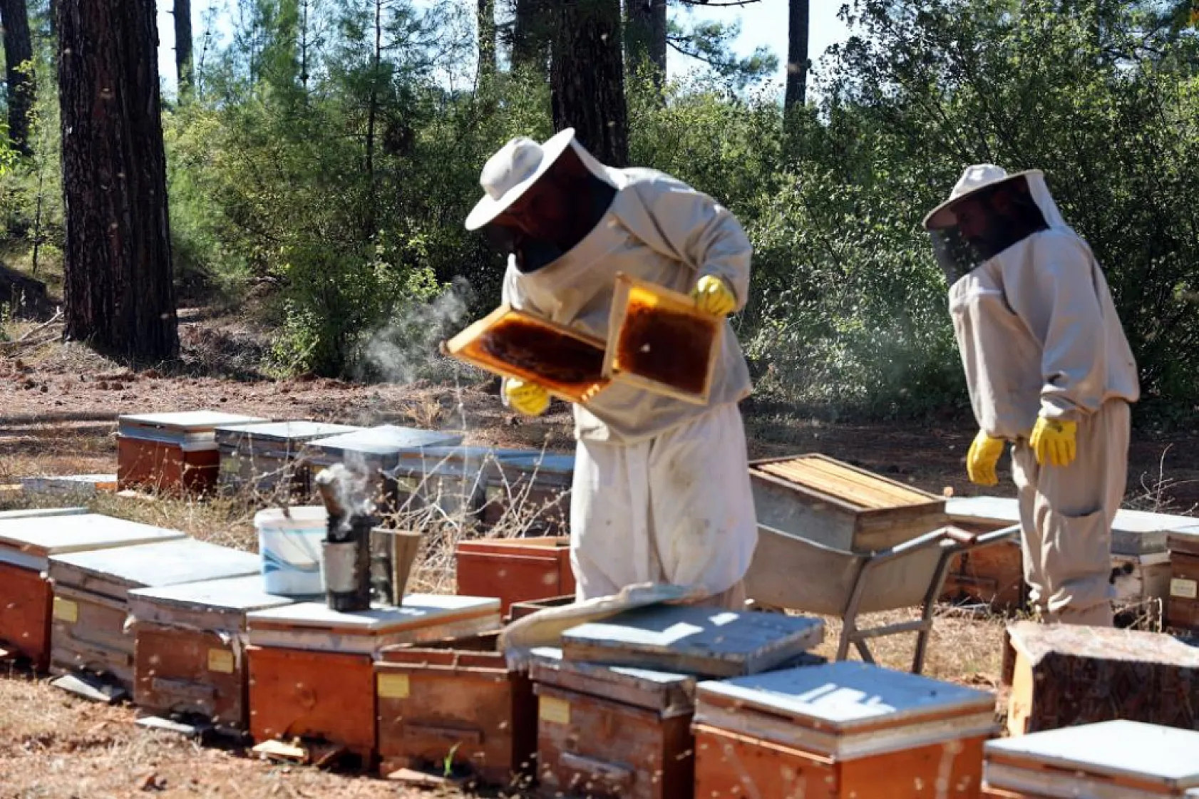 Muğla'da taklit ve tağşişli ürünler bu laboratuvarda belirleniyor