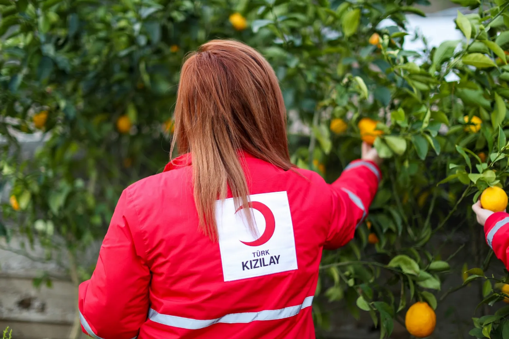 Türk Kızılay'dan 70,8 Milyon Lira Destek