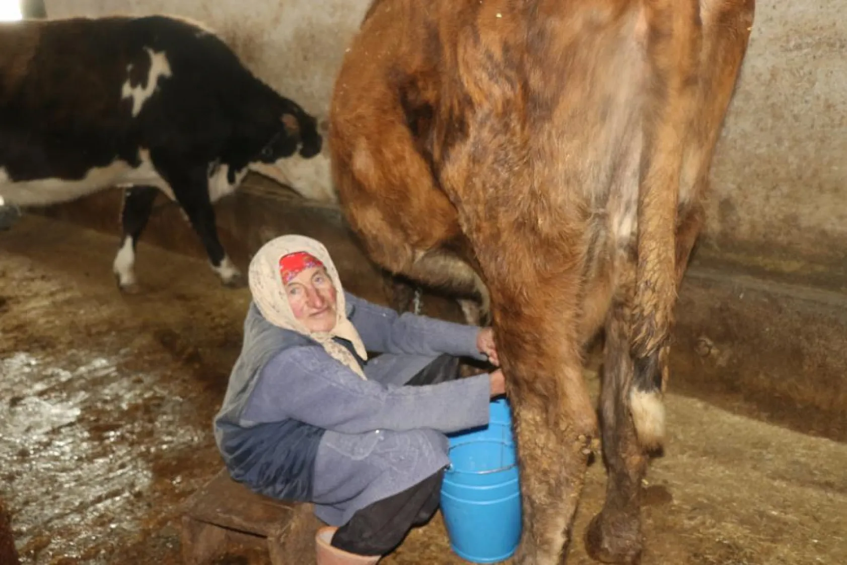 79 yaşındaki Dilber ninenin inanılmaz hayat mücadelesi görenlere 'maşallah' dedirtiyor