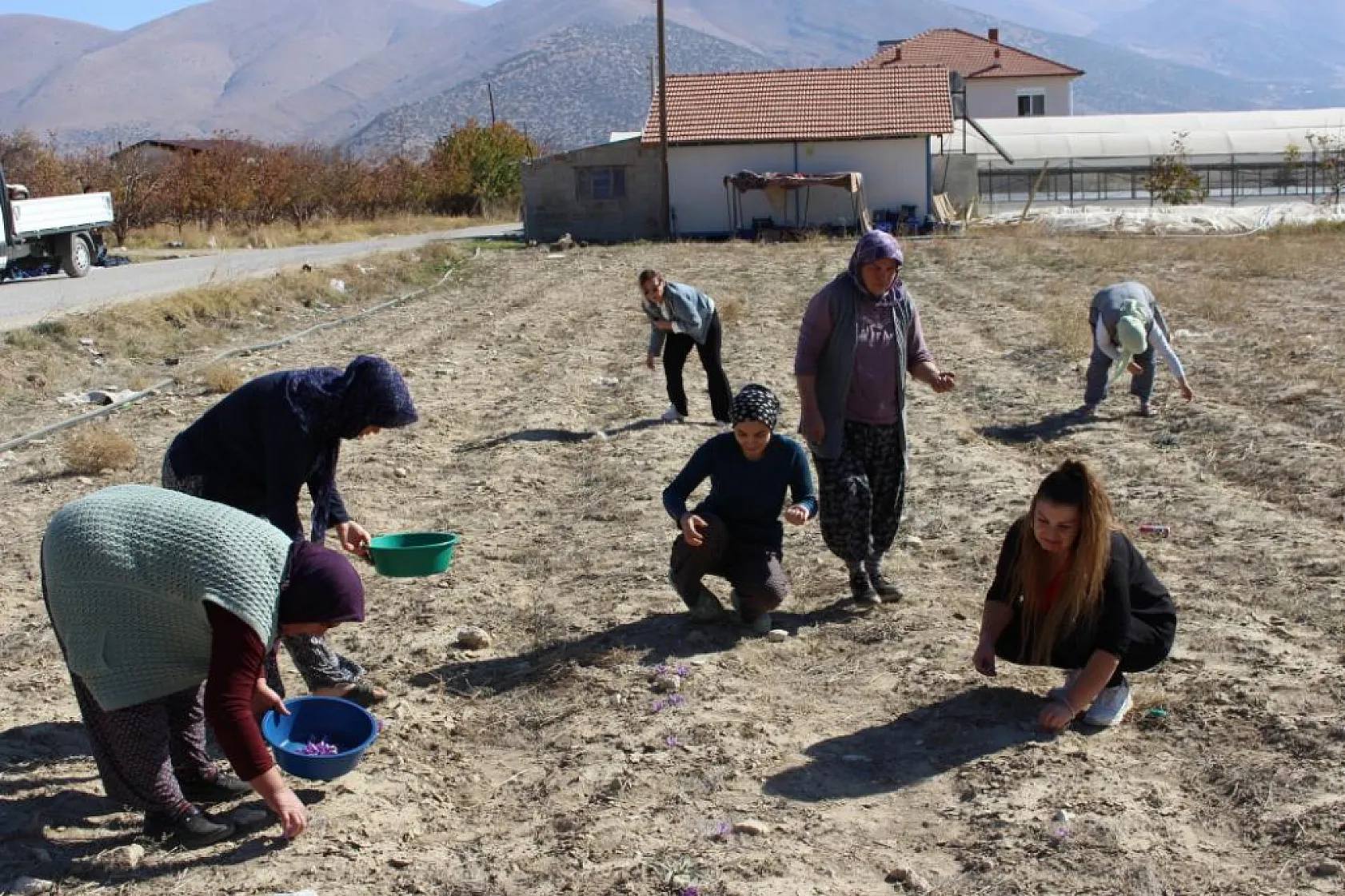 Safran deneme üretimi başarıya ulaştı