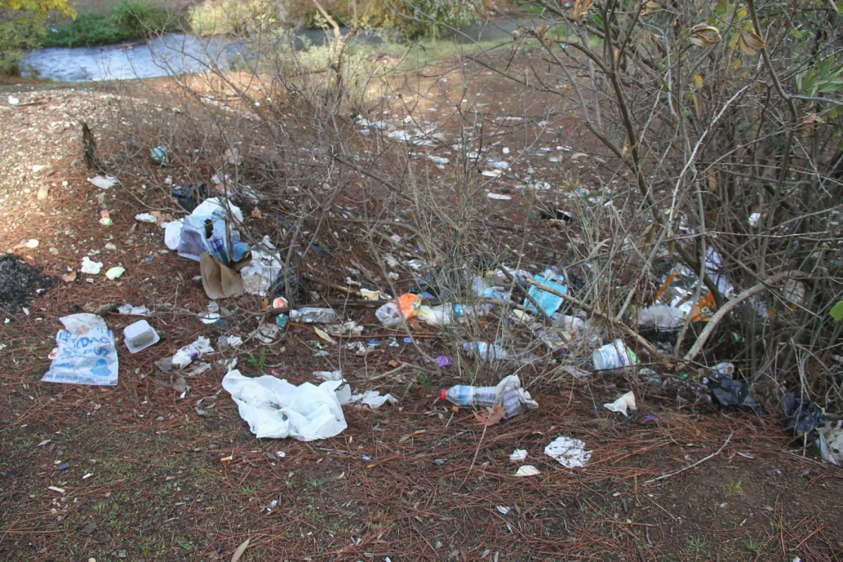 Fethiye Çırpı Mevkii'nde Çöp Sorunu! Konteynırlar boş, çevresi atıklarla dolu