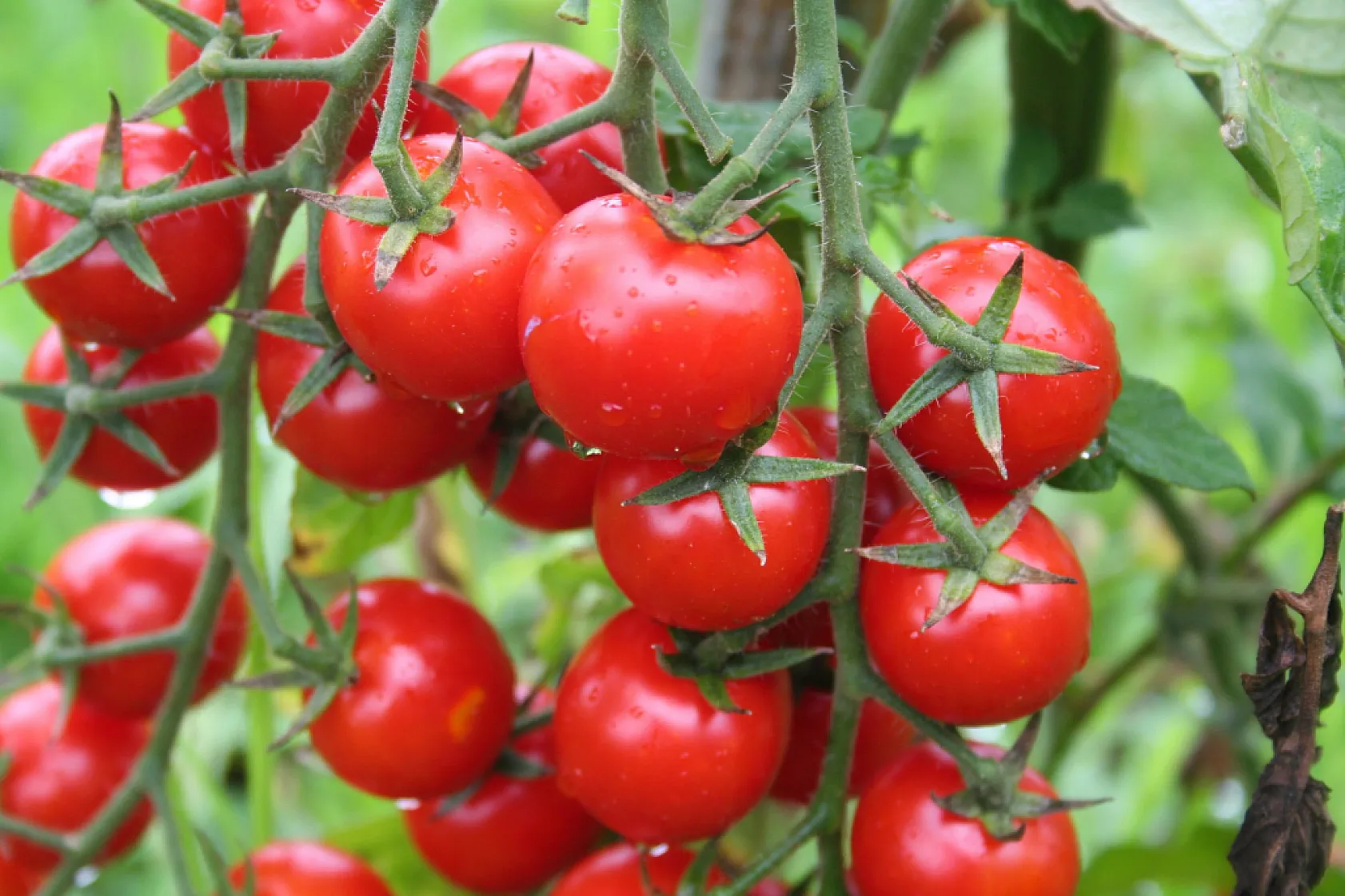 Muğla, Kasım ayında Ege'nin ihracat artış rekortmeni oldu