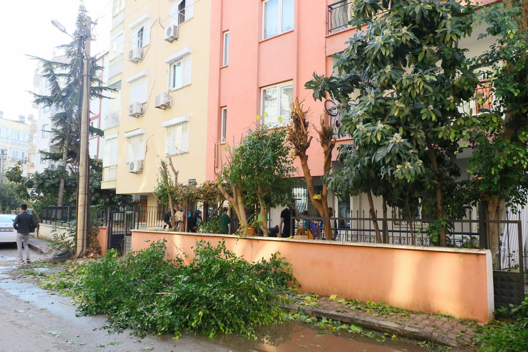 Ağaç budarken bütün mahallenin elektriğini kesti, elektronik cihazlarını yaktı