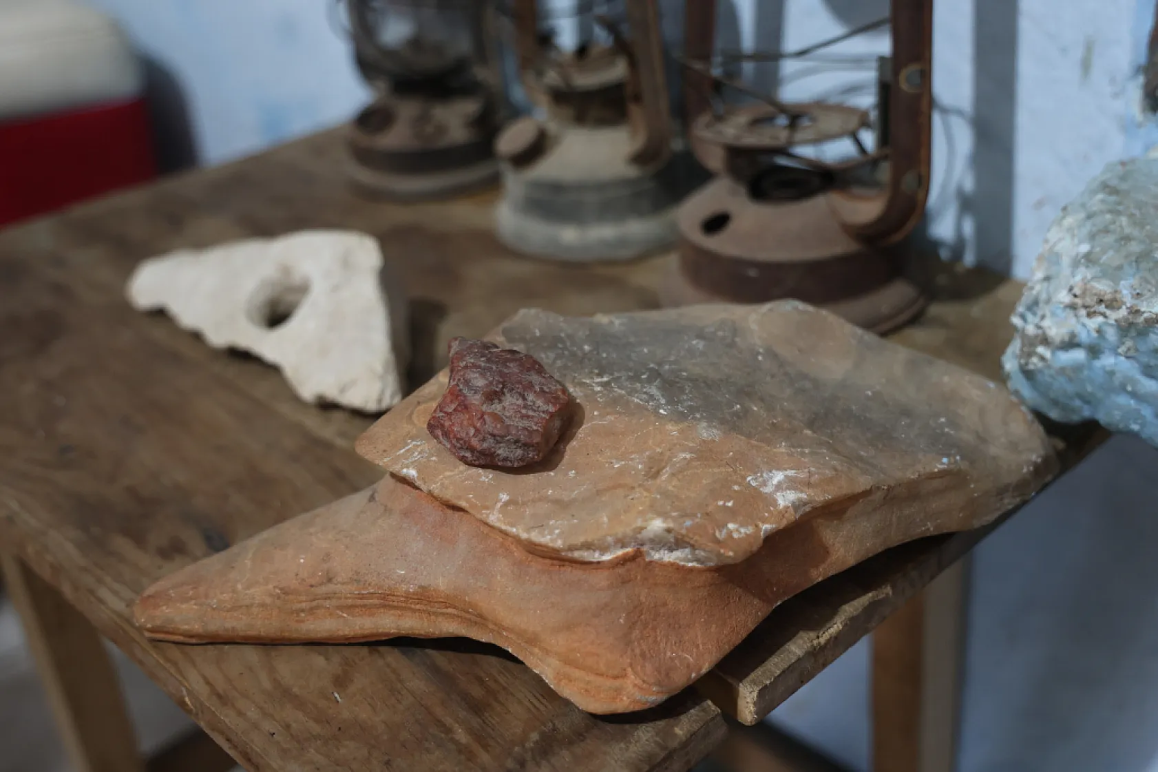 Çobanın doğanın içinden gelen koleksiyonu: Dağlardan toplayıp evinde sergiliyor