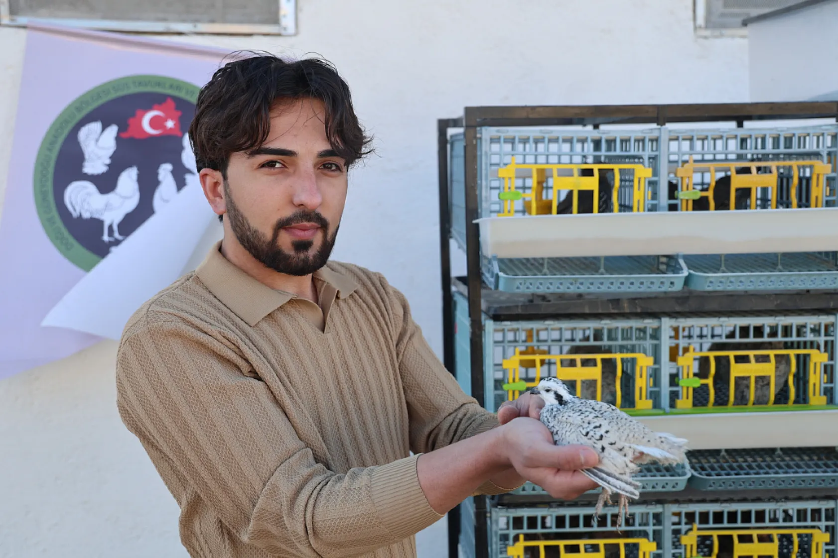 Üniversiteli genç ürettiği egzotik bıldırcınları dünyaya ihraç ediyor