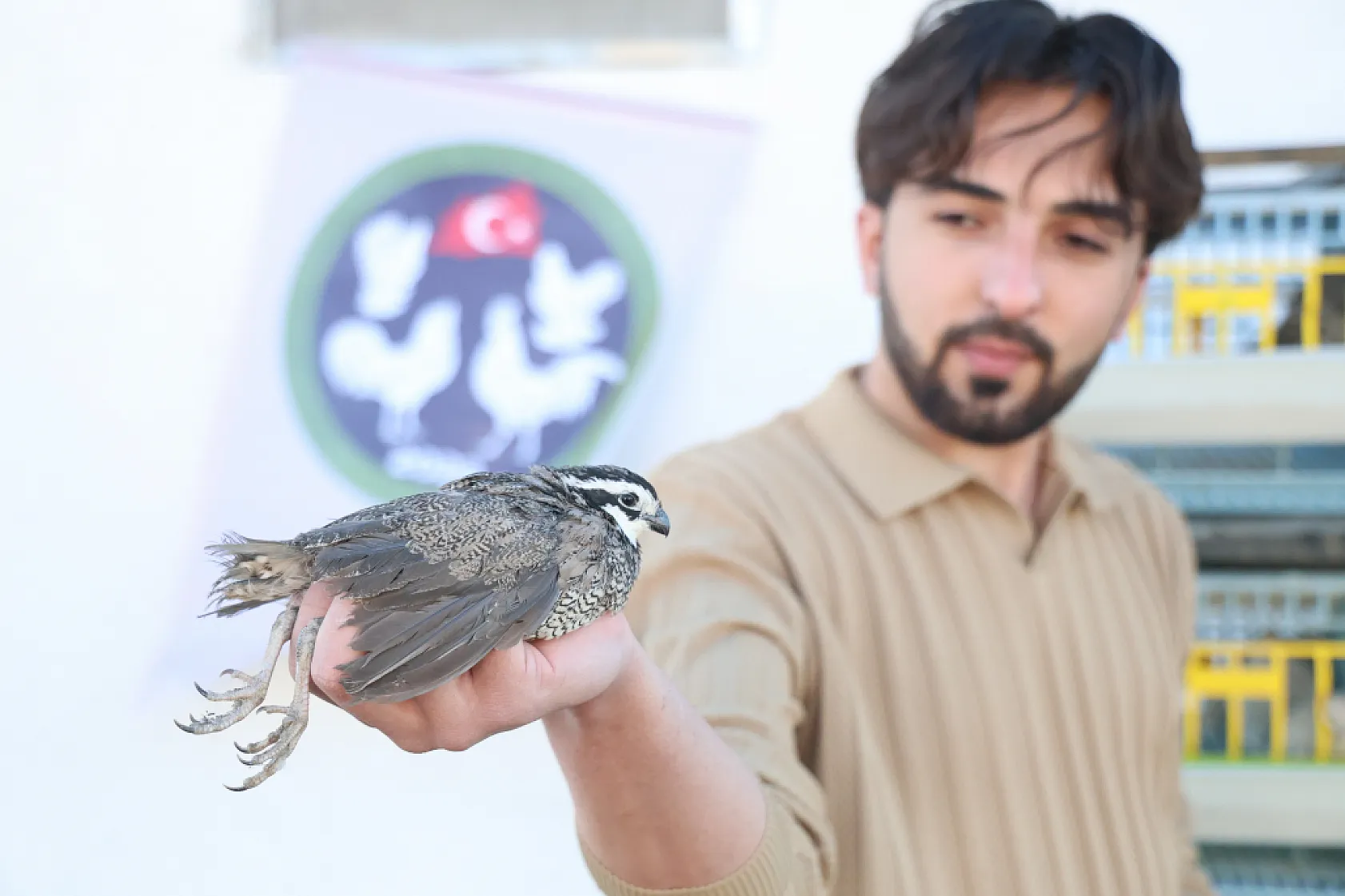 Üniversiteli genç ürettiği egzotik bıldırcınları dünyaya ihraç ediyor
