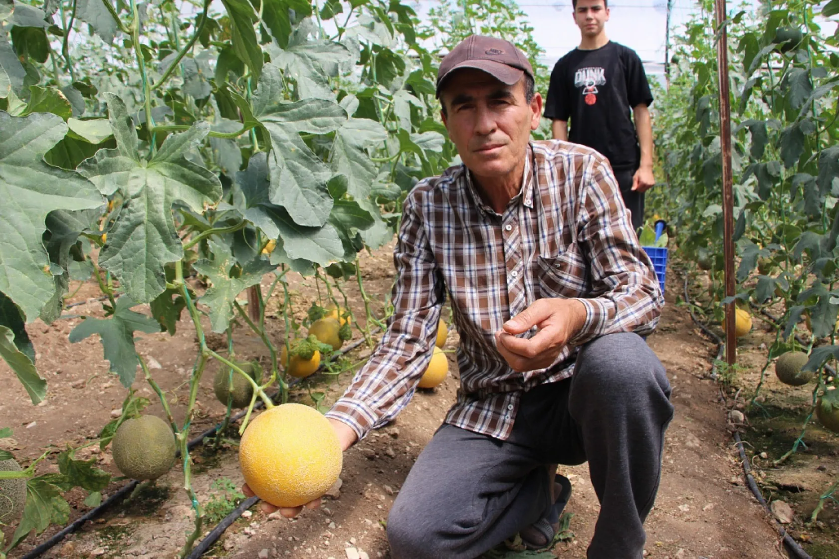 Bu mevsimde olmaz dediler, 2 ton hasat yapıp kilosunu 200 TL'den sattı