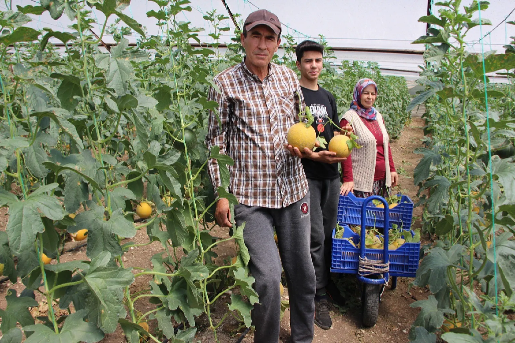 Bu mevsimde olmaz dediler, 2 ton hasat yapıp kilosunu 200 TL'den sattı