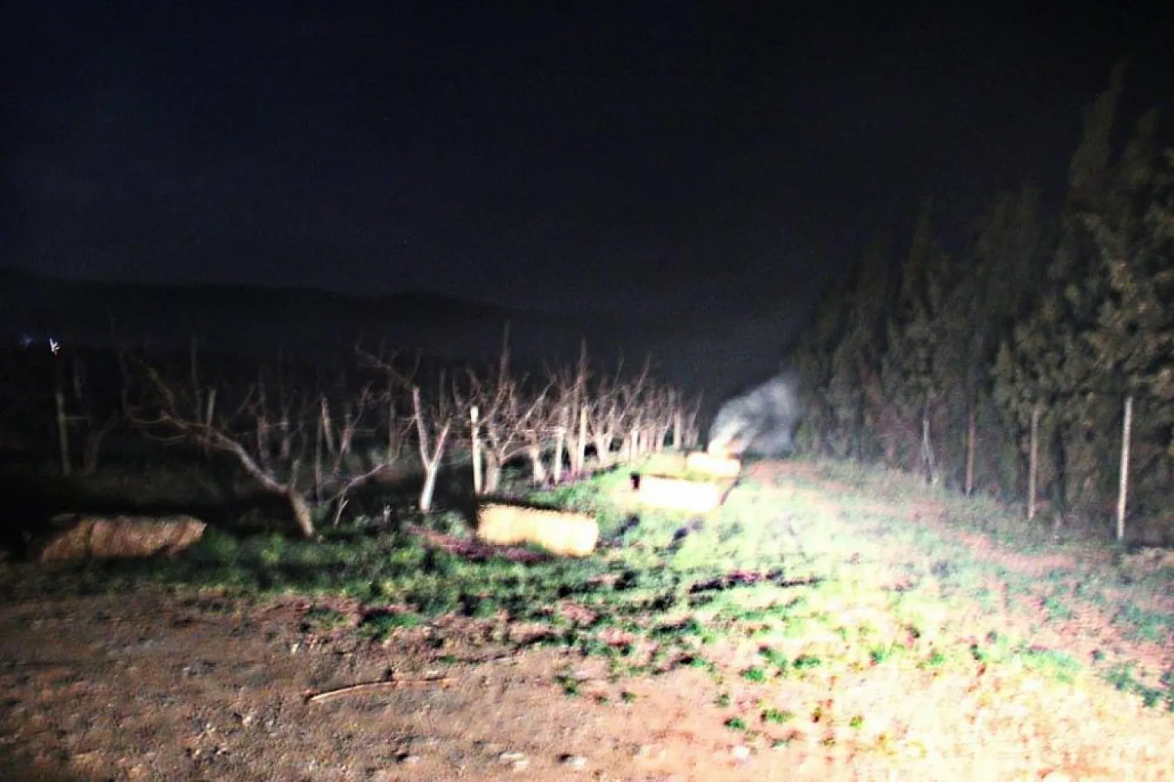 Çiftçiler kara kara düşünüyor! Meyve ağaçları don yüzünden mahvoldu