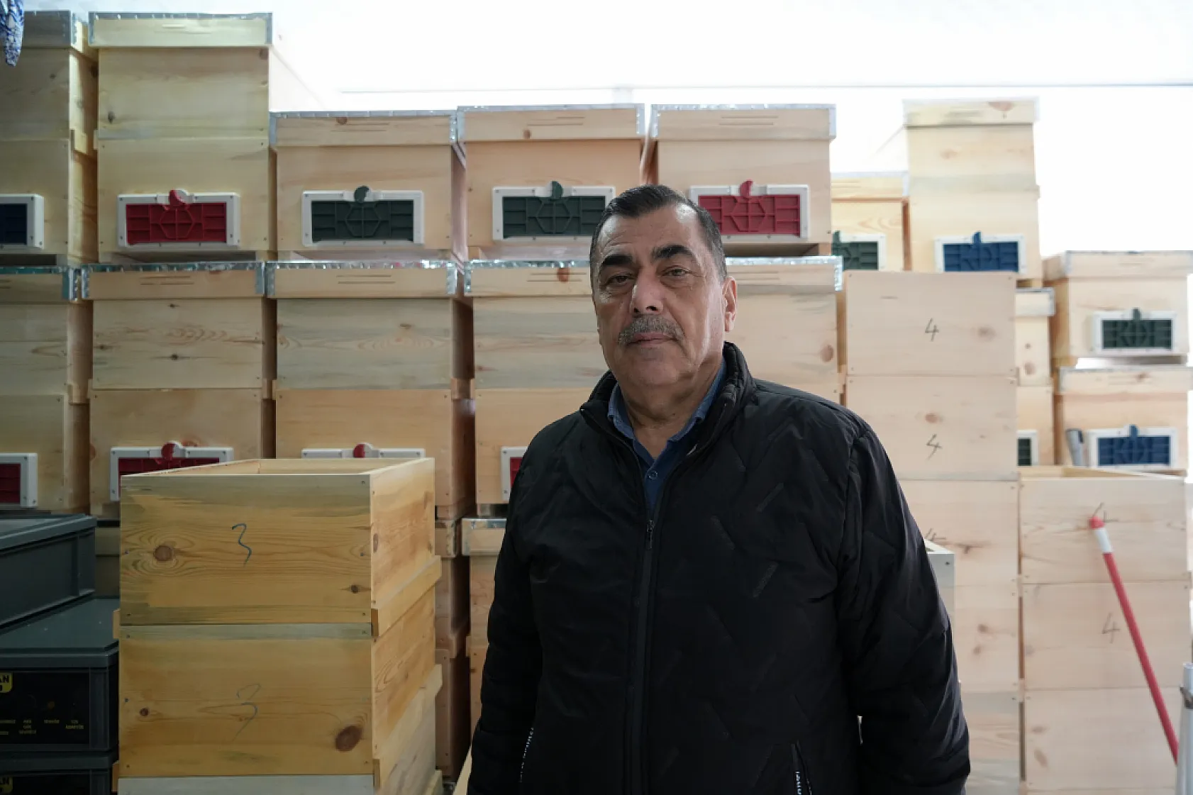 Arı ölümleri korkutuyor