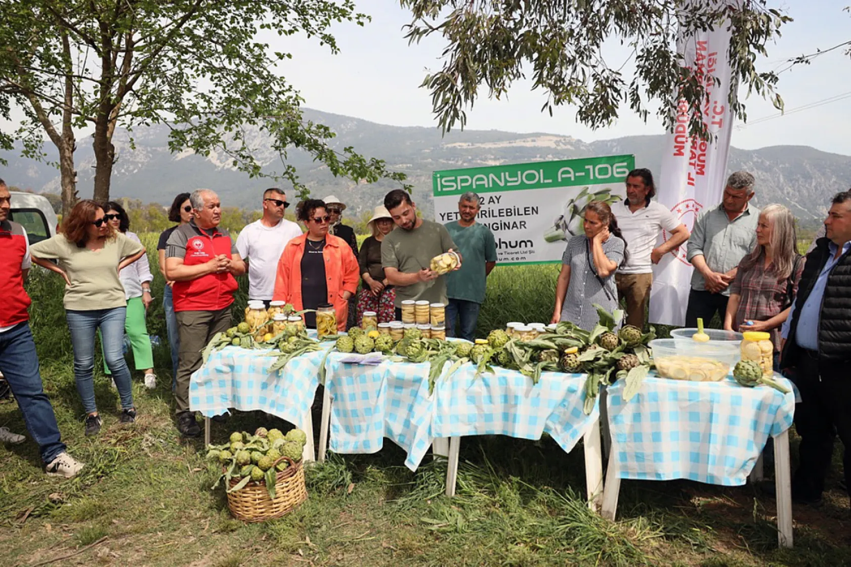 Muğla' da 'Hibrit Enginar Hasadı Tarla Günü' düzenlendi