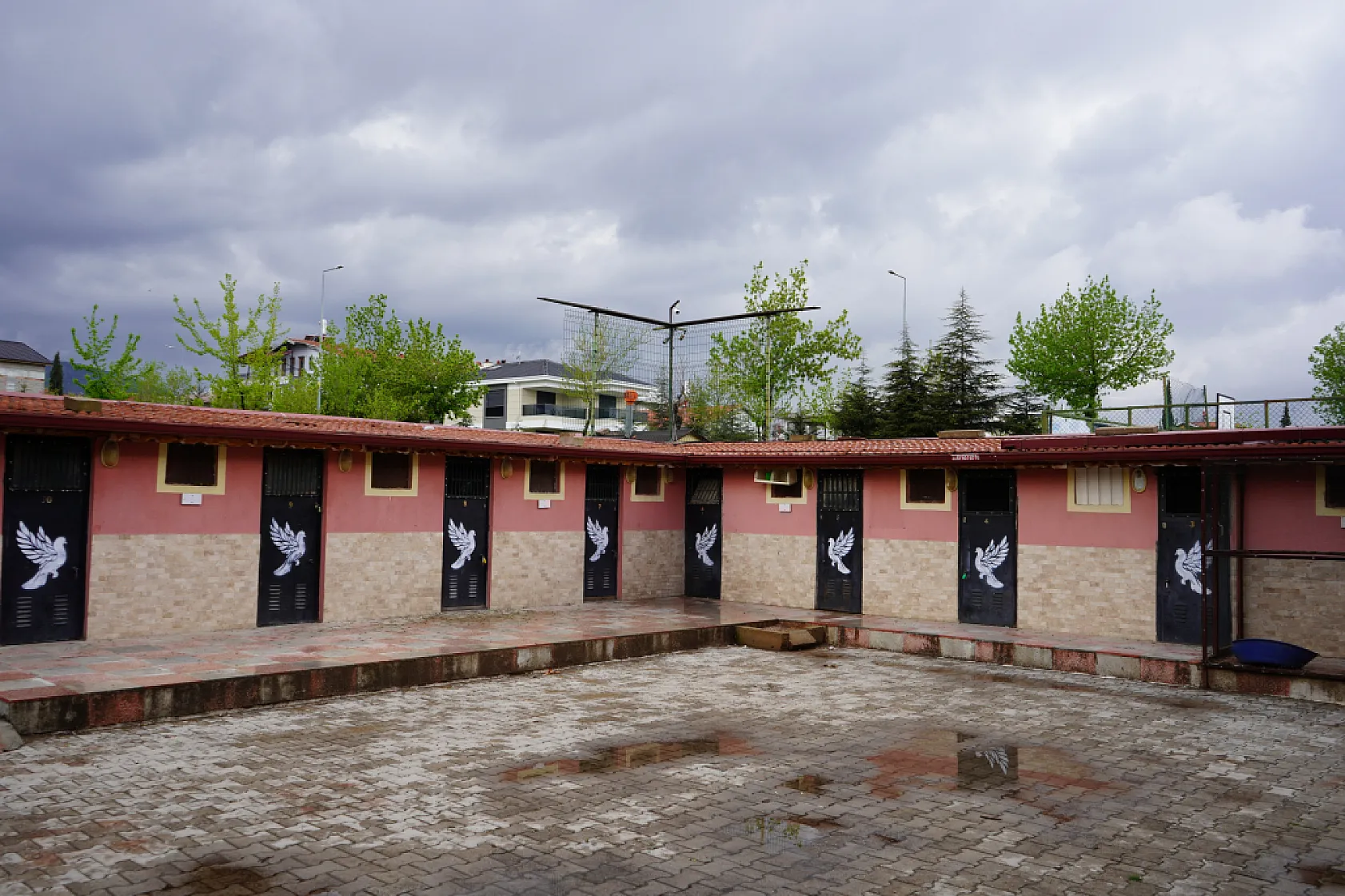 42 yıllık hobisi, profesyonel tesise dönüştü 'güvercin apartı' kurdu