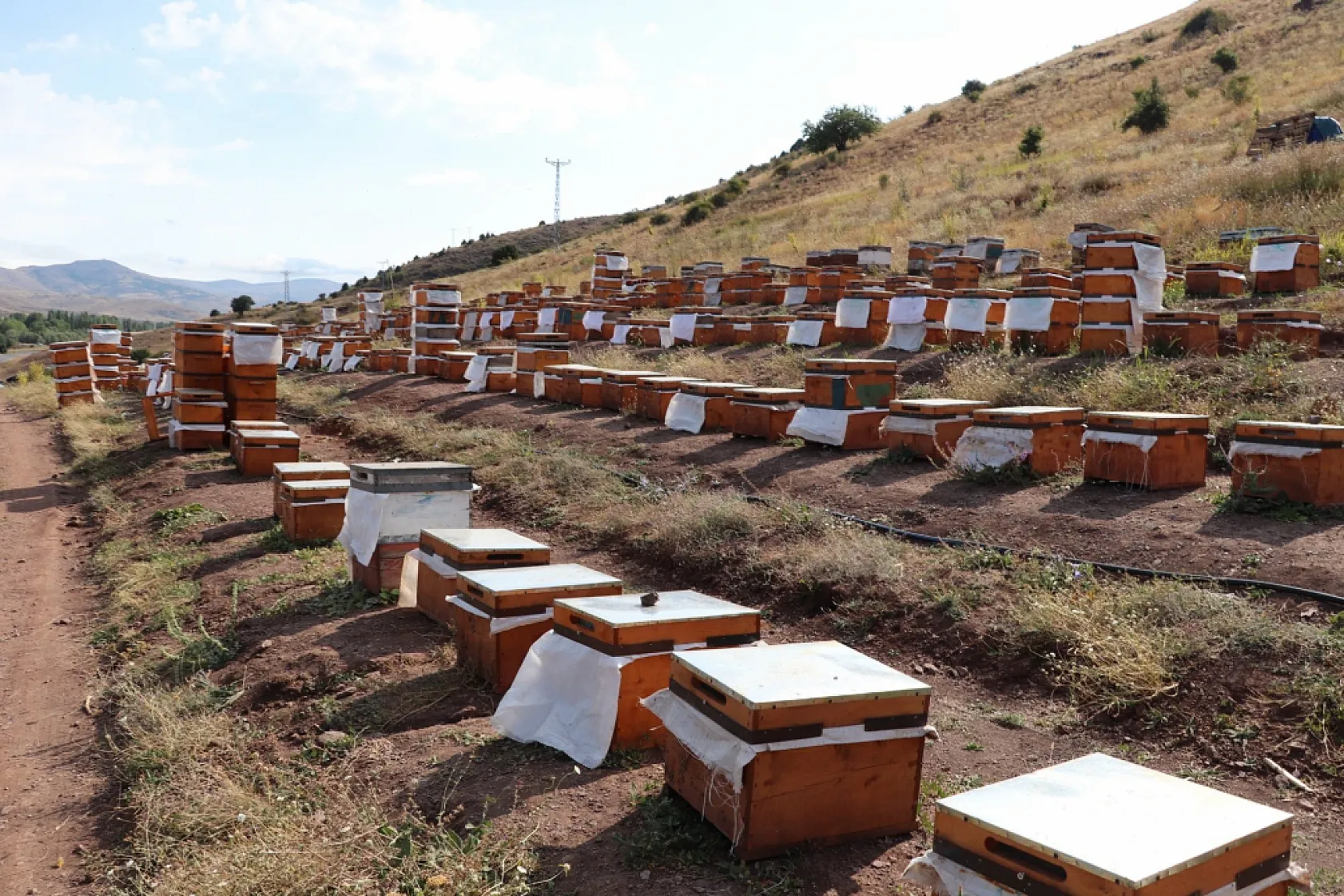 Arıcılar endişeli, baharın gecikmesi polen krizine neden olabilir