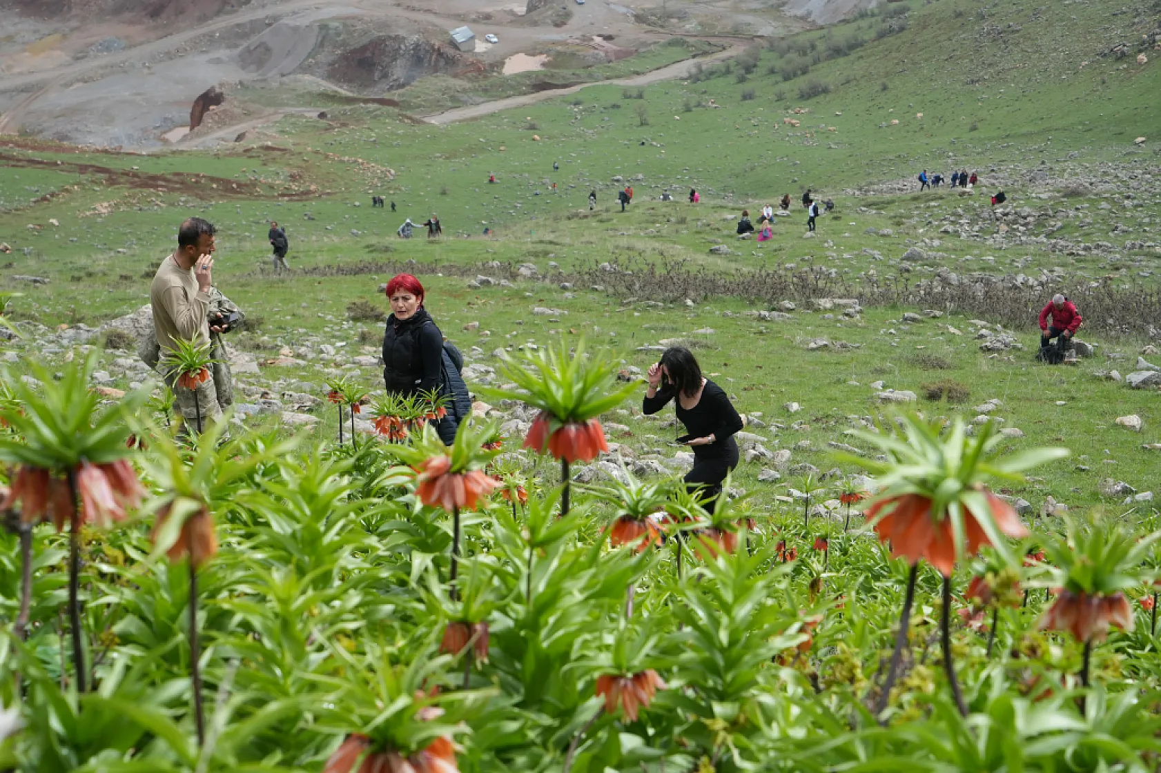 Ters laleleri görmek için 500 kilometre yol geldiler ama dokunamadılar