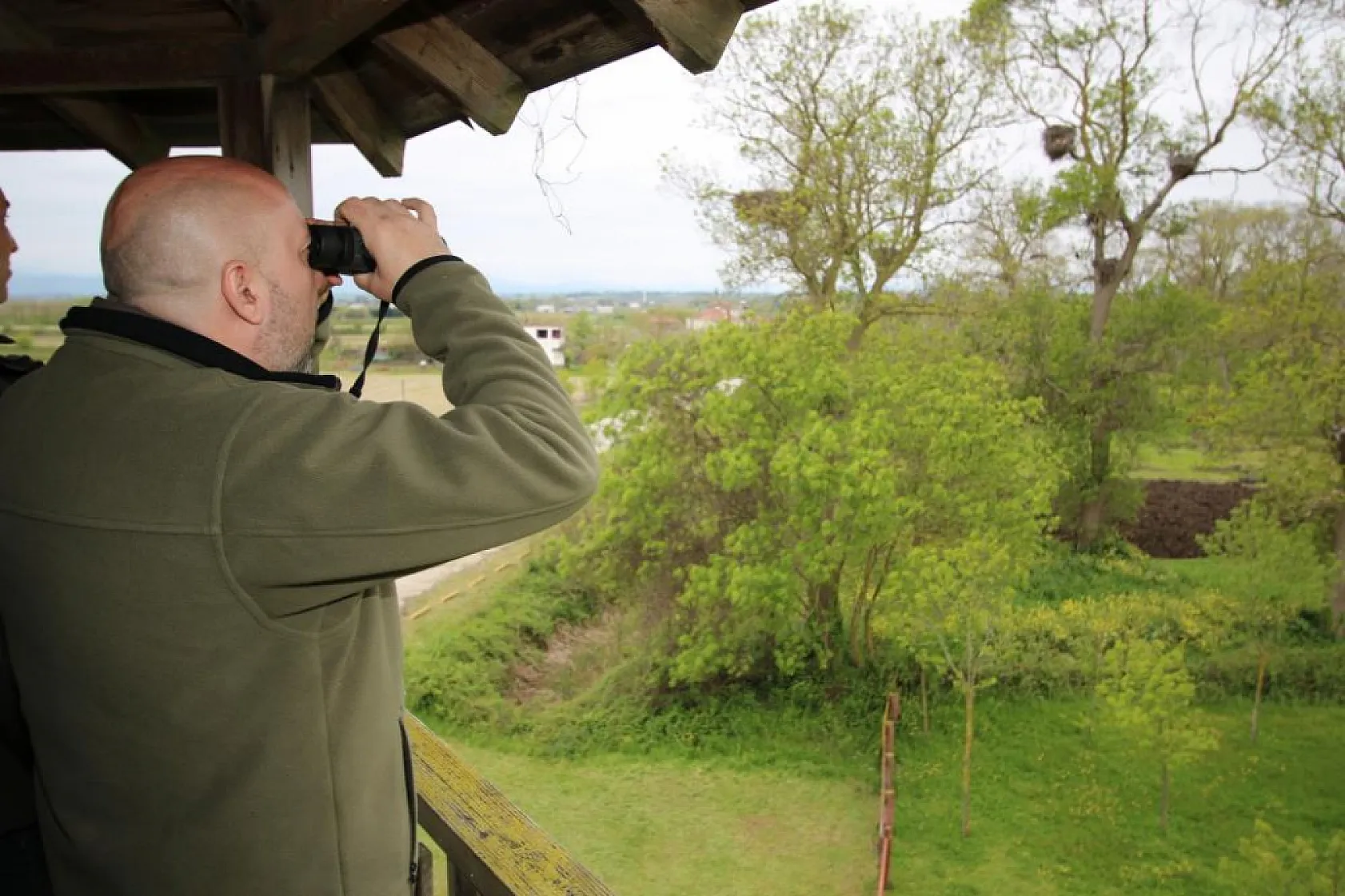 Türkiye'nin Kuş Göç Haritası Çıkarılıyor