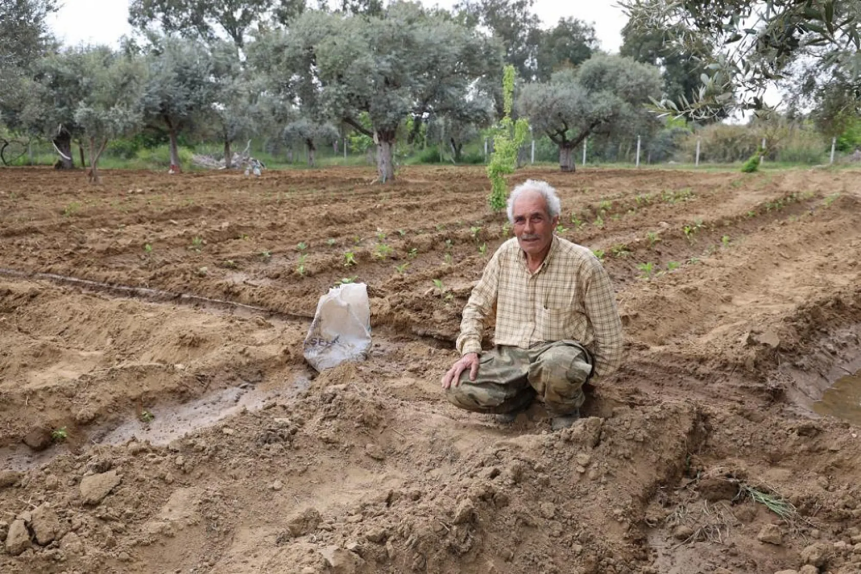 'Kahveye gitmem, toprağa giderim!' diyen dede sosyal medyada gündem