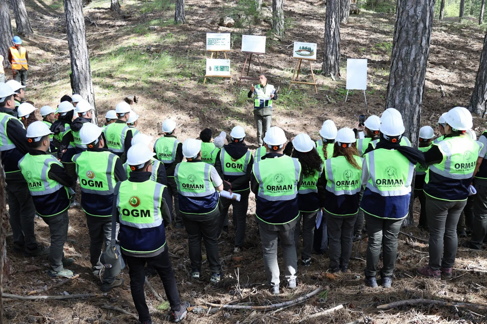 Muğla Orman Bölge Müdürlüğü'nde silvikültür tatbikatları tamamlandı