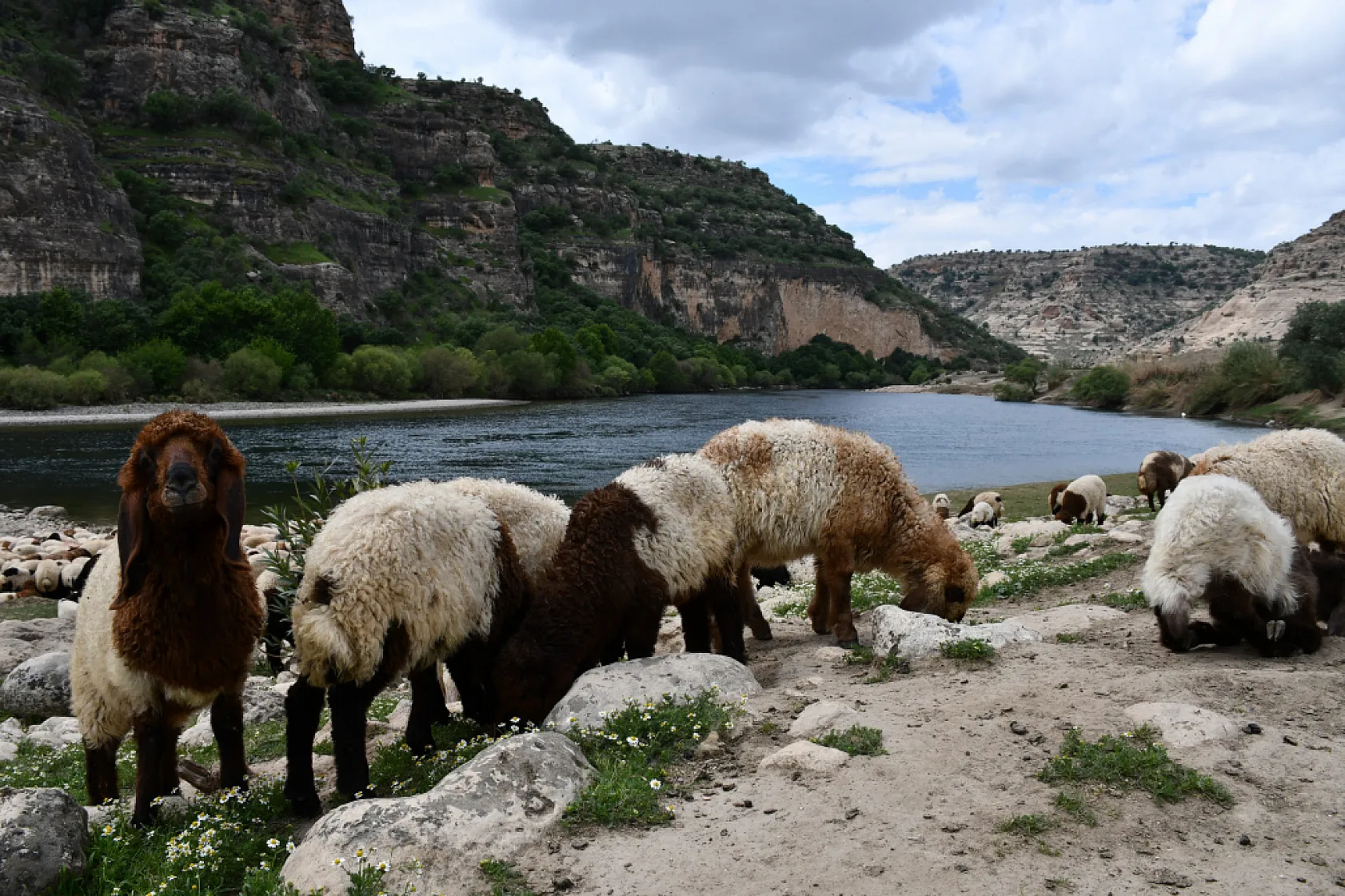 Bir çocuğun sessiz çığlığı: 'Hiç oyuncağım olmadı'