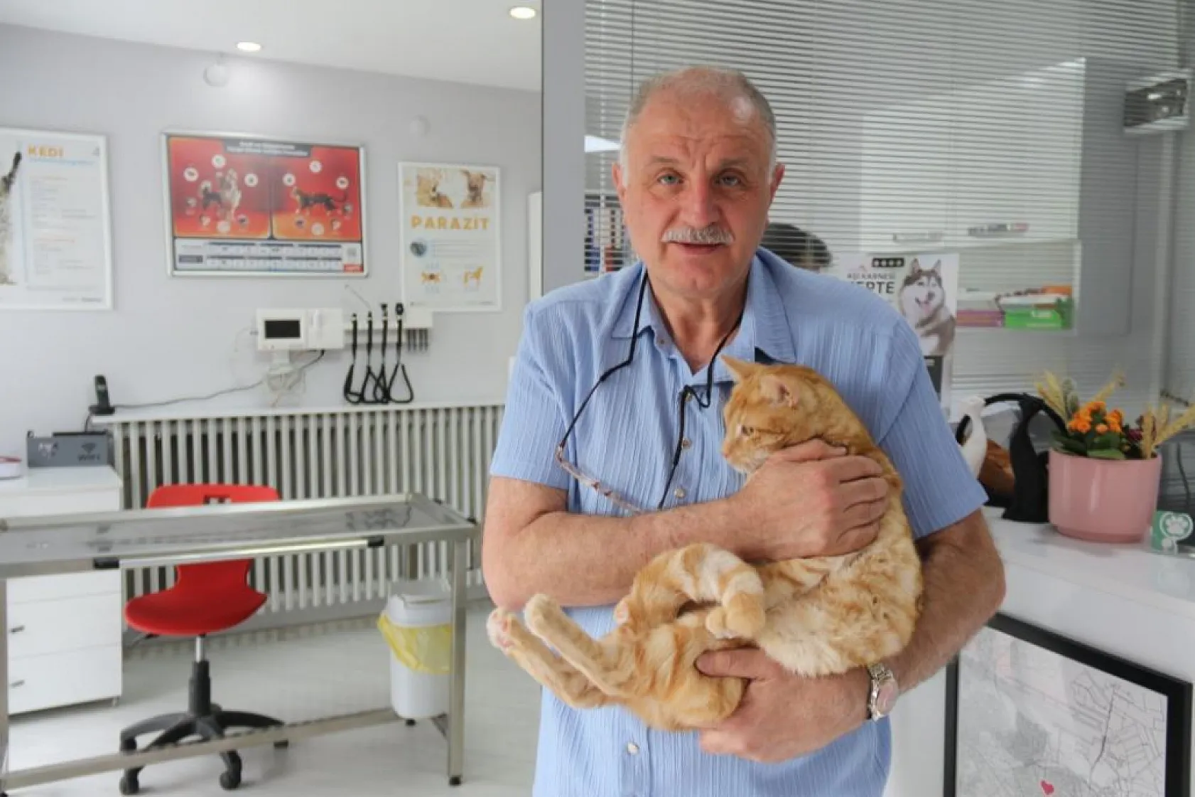 Kedisini veterinere yetiştirmeye çalışırken trafik cezası yedi, itiraz etti