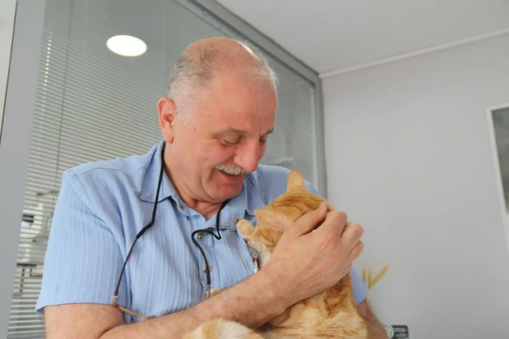 Kedisini veterinere yetiştirmeye çalışırken trafik cezası yedi, itiraz etti